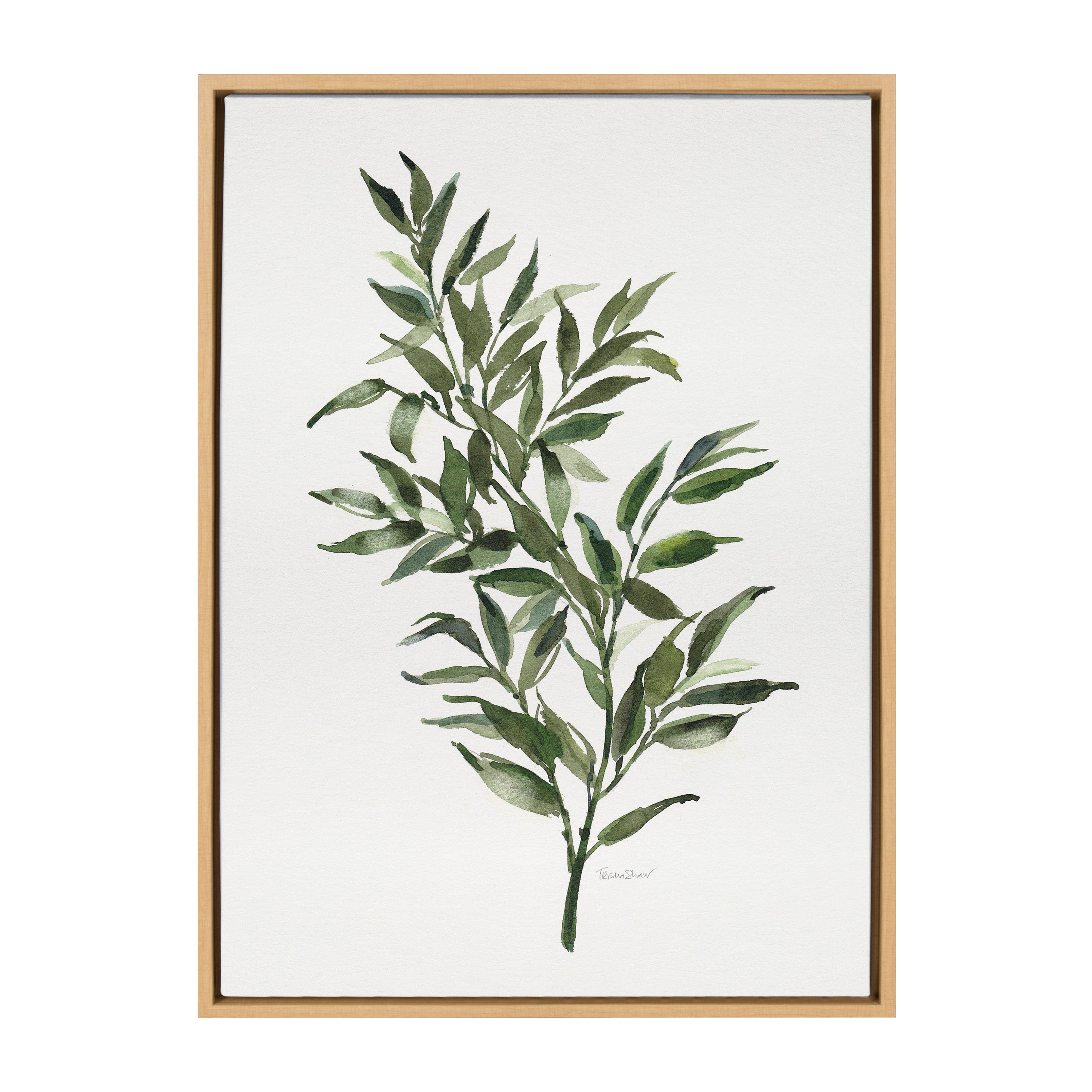 Sylvie Ruscus Framed Canvas by Patricia Shaw