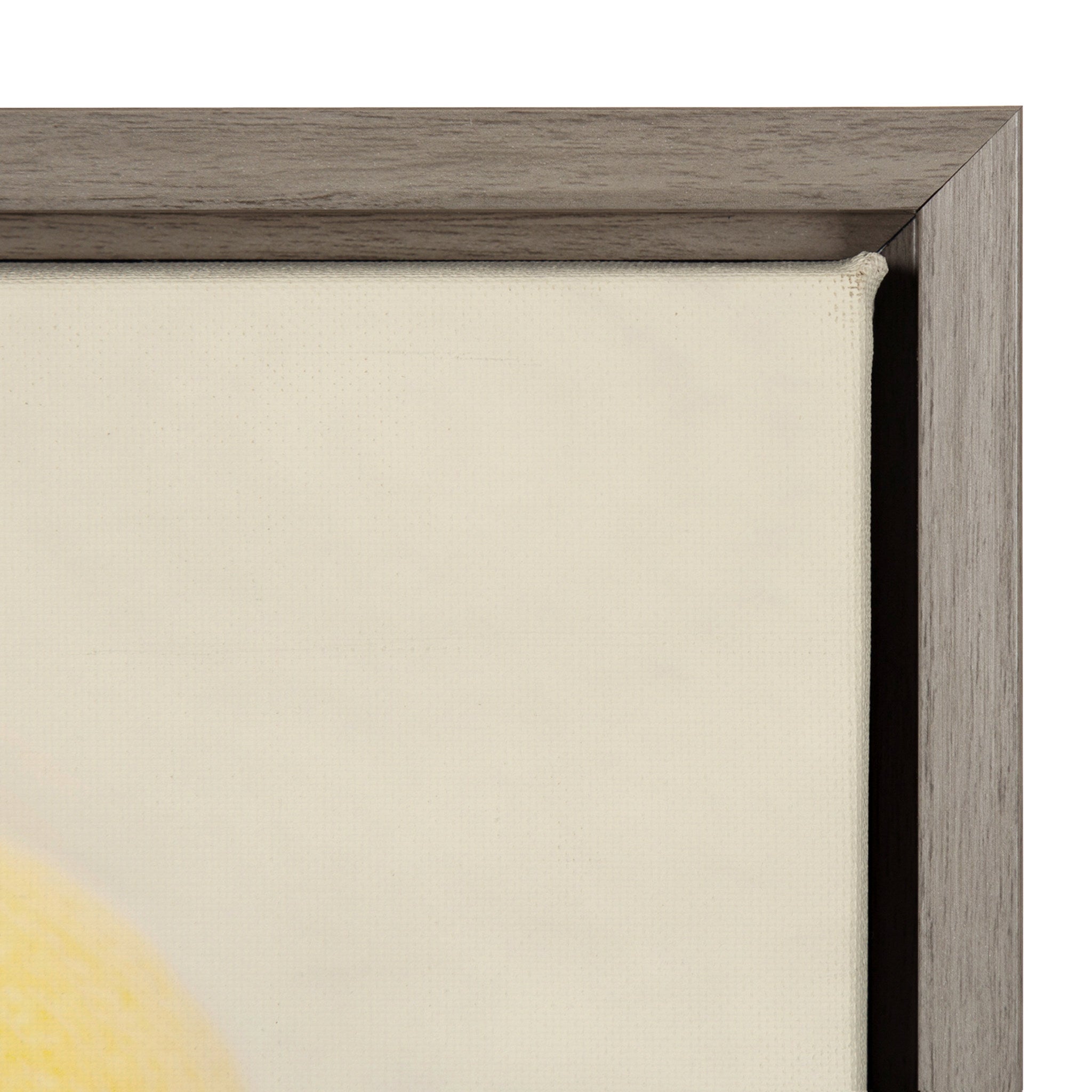 Sylvie Lemons Framed Canvas by Emiko and Mark Franzen of F2Images