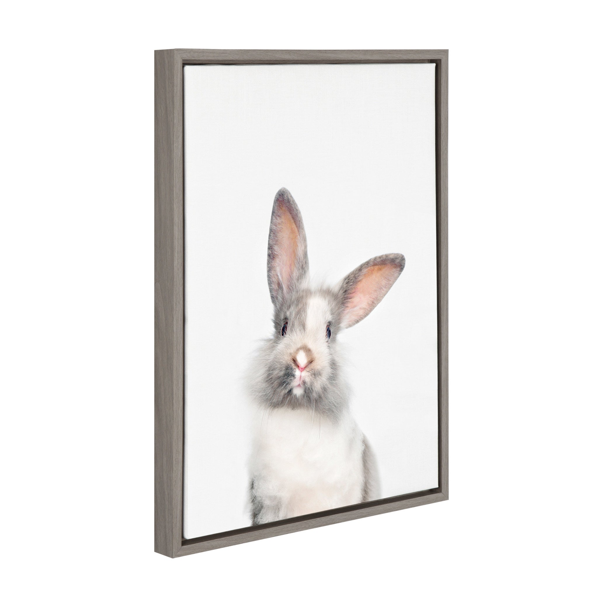 Sylvie Animal Studio Cute Male Rabbit Framed Canvas by Amy Peterson Art Studio