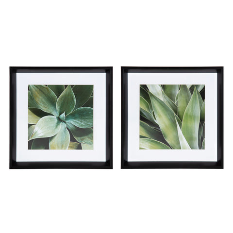 Calter Succulent Leaves Framed Print Art Set by Amy Peterson
