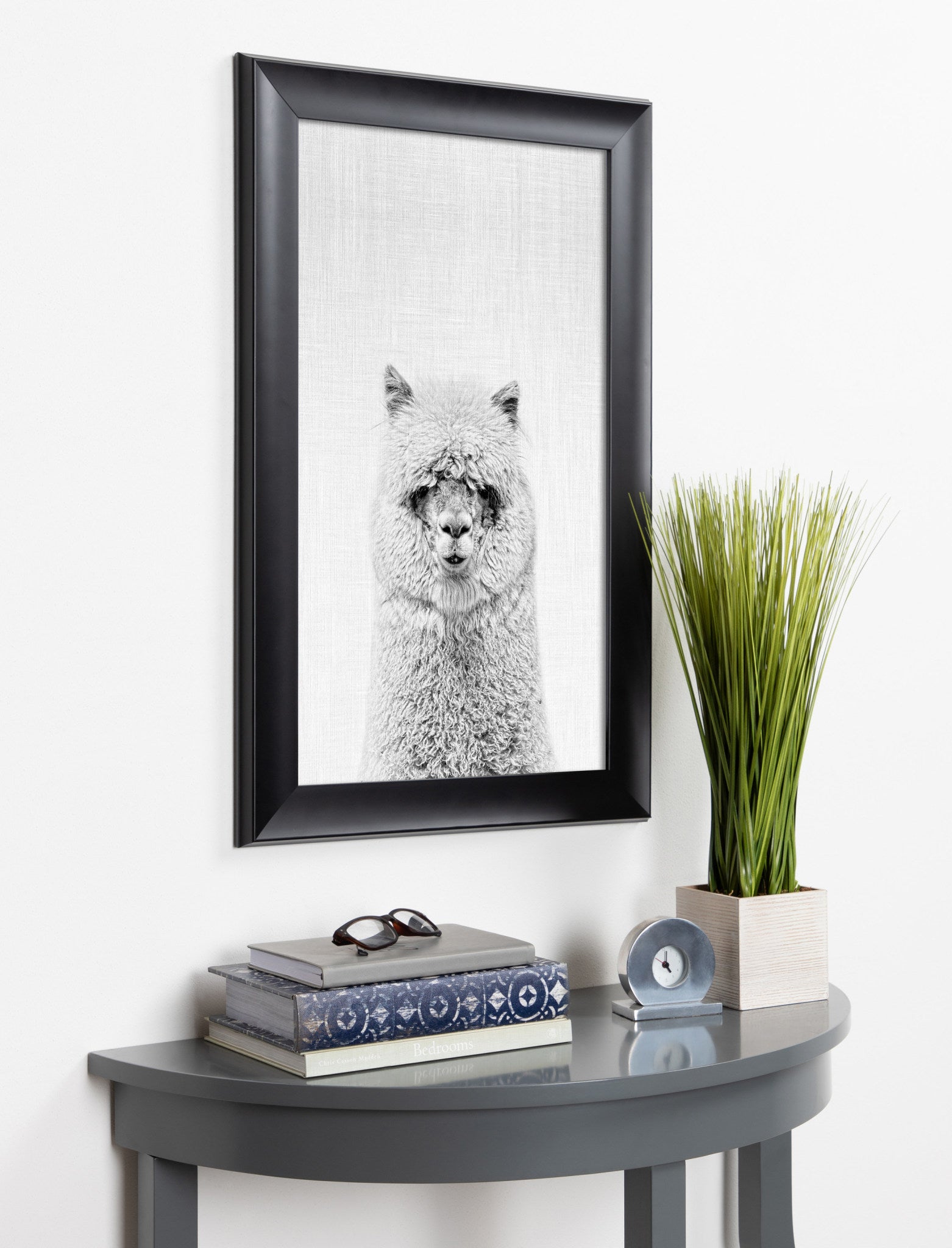 Scoop Hairy Alpaca Animal Framed Wall Art by Simon Te Tai, Black 18x28