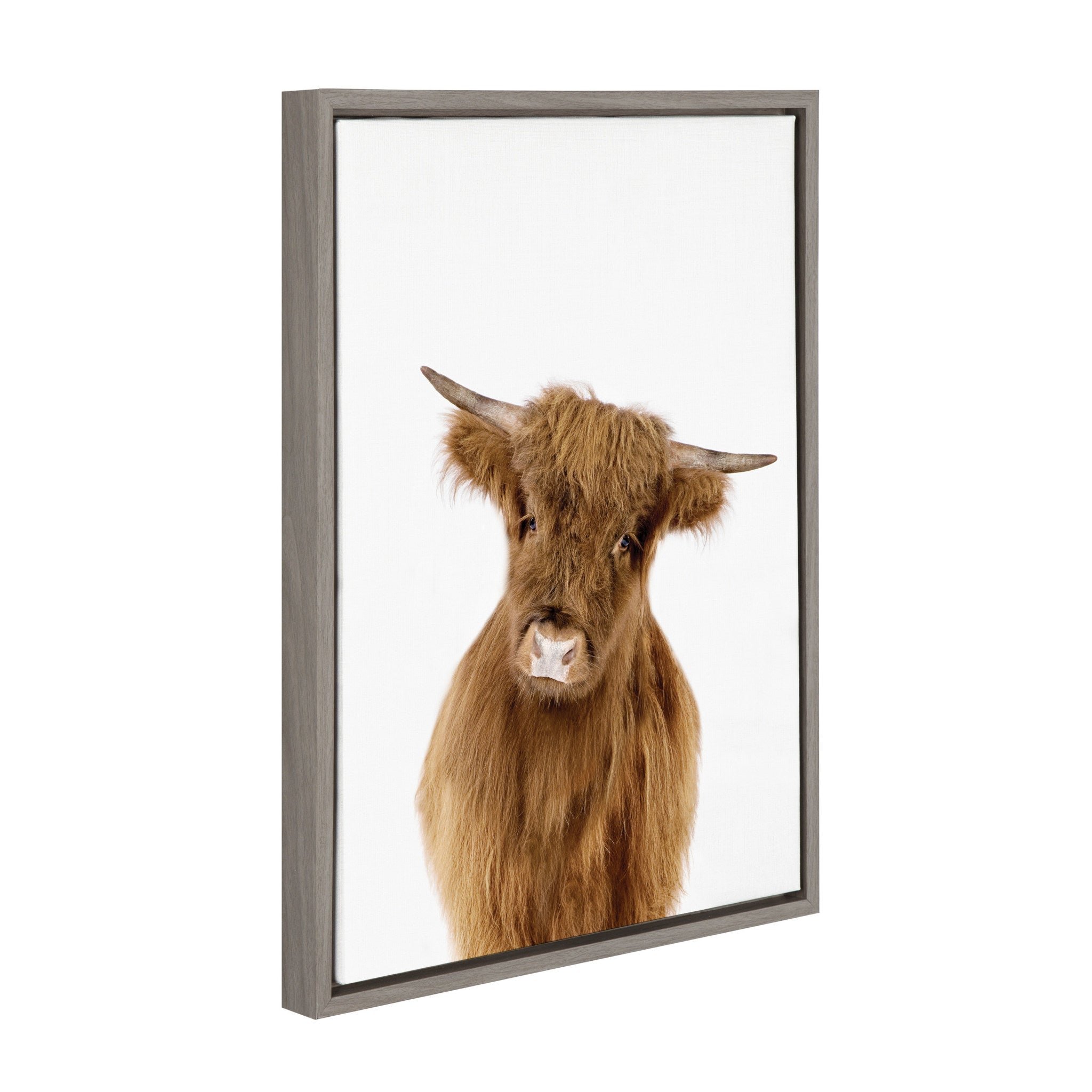 Sylvie Animal Studio Highland Framed Canvas by Amy Peterson Art Studio