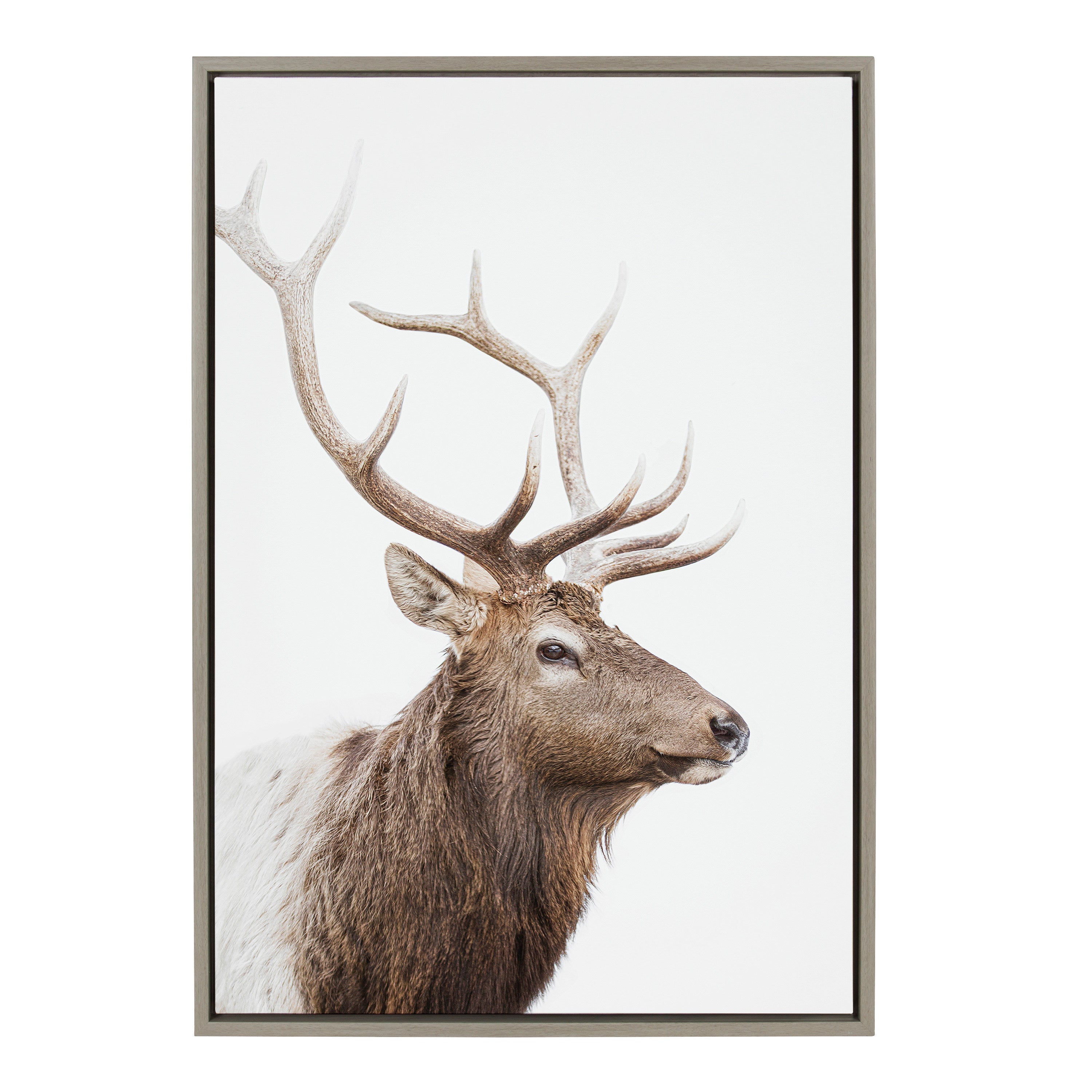 Sylvie Stag Profile Framed Canvas by Amy Peterson Art Studio