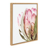 Sylvie Pink Protea Flower Framed Canvas by Amy Peterson