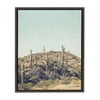 Sylvie Parched Framed Canvas by F2 Images