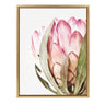 Sylvie Pink Protea Flower Framed Canvas by Amy Peterson