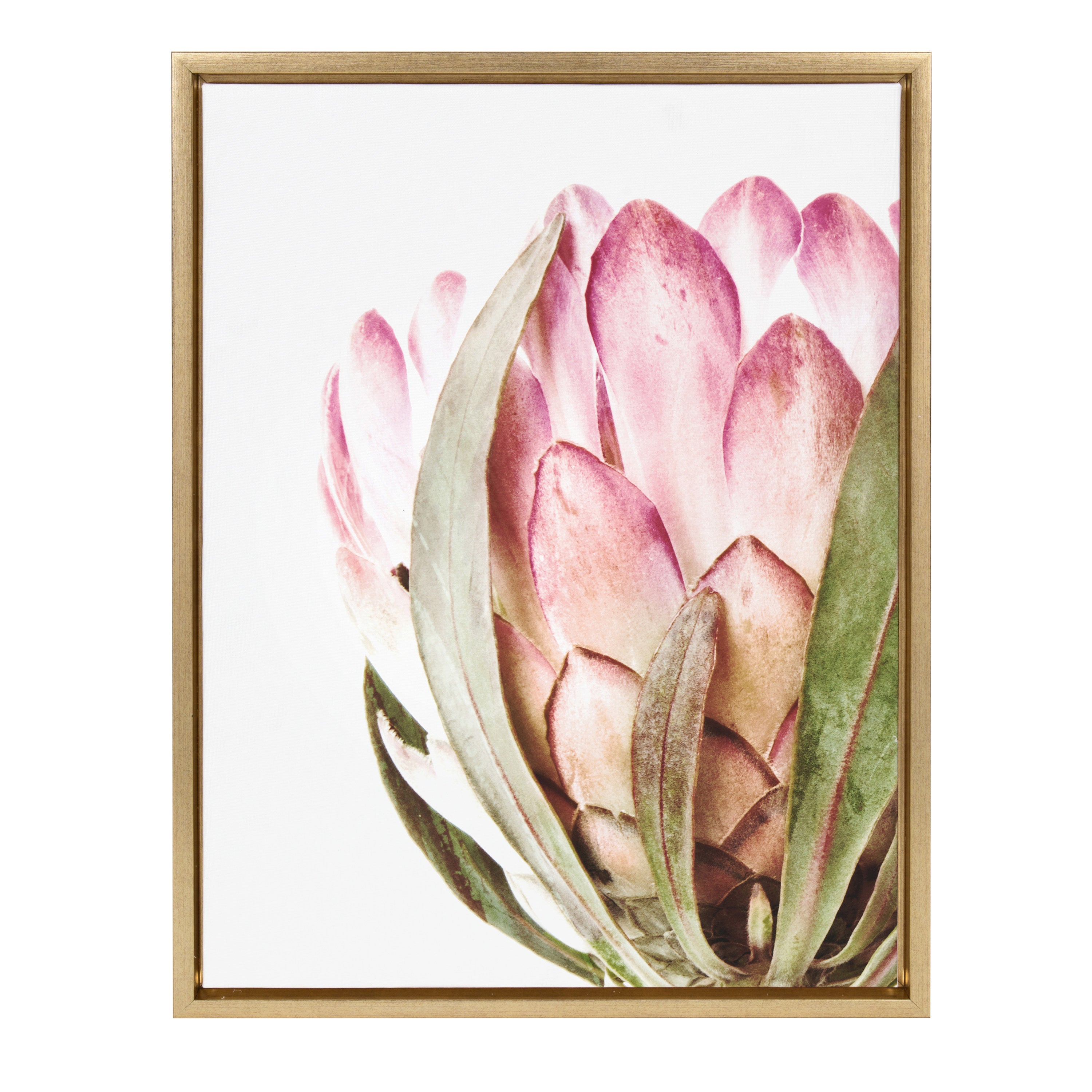 Sylvie Pink Protea Flower Framed Canvas by Amy Peterson