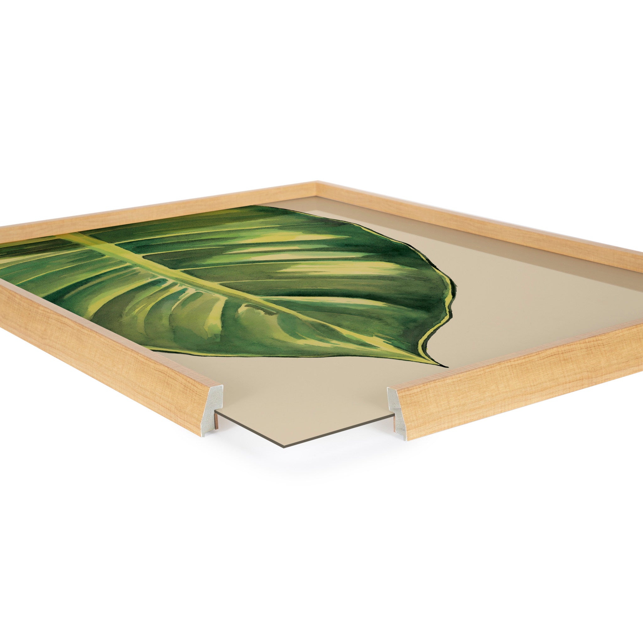 Blake Large Leaf Greener Hue Neutral Framed Printed Glass by Emily Marie Watercolors