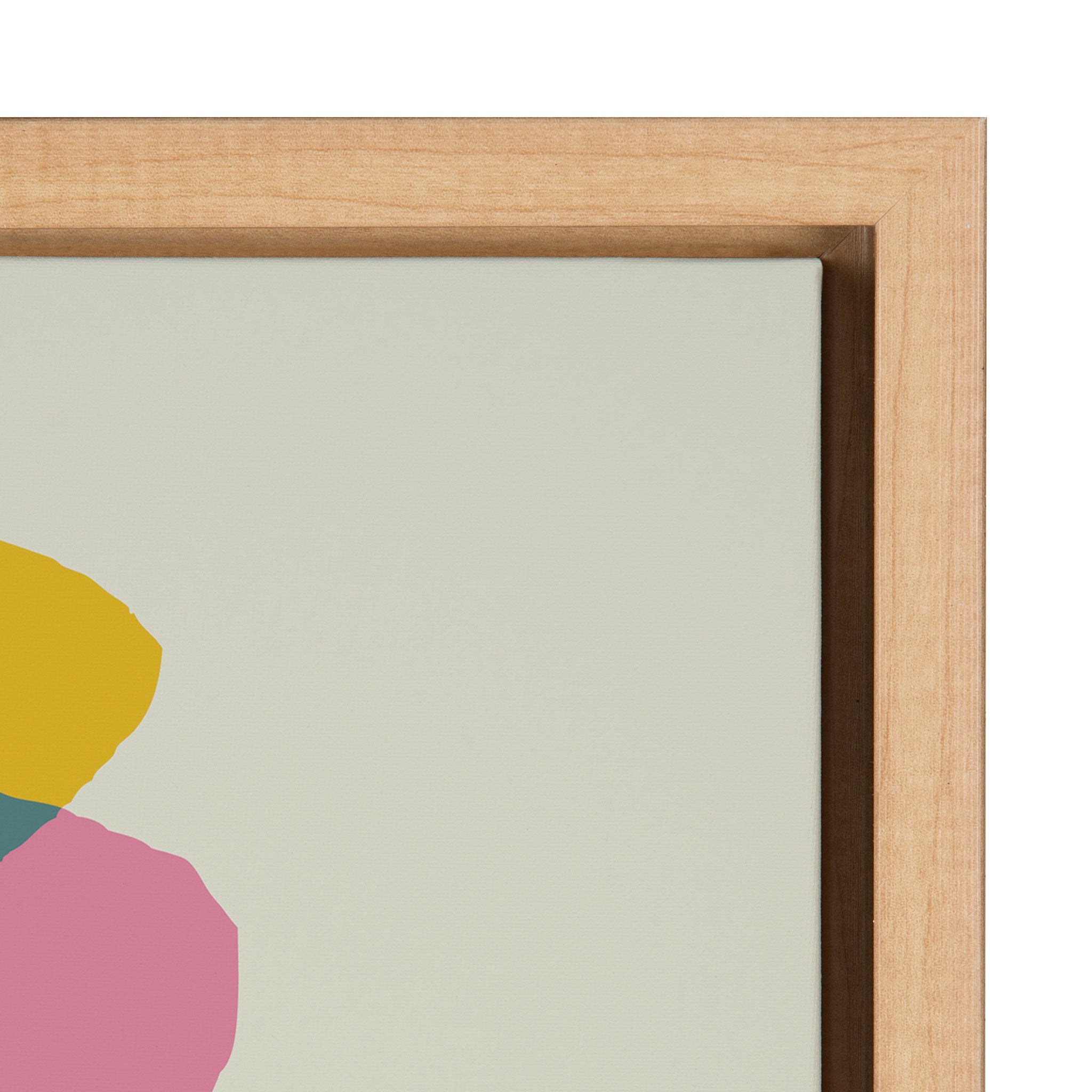 Sylvie Llama Mesatawe Framed Canvas by Rachel Lee of My Dream Wall