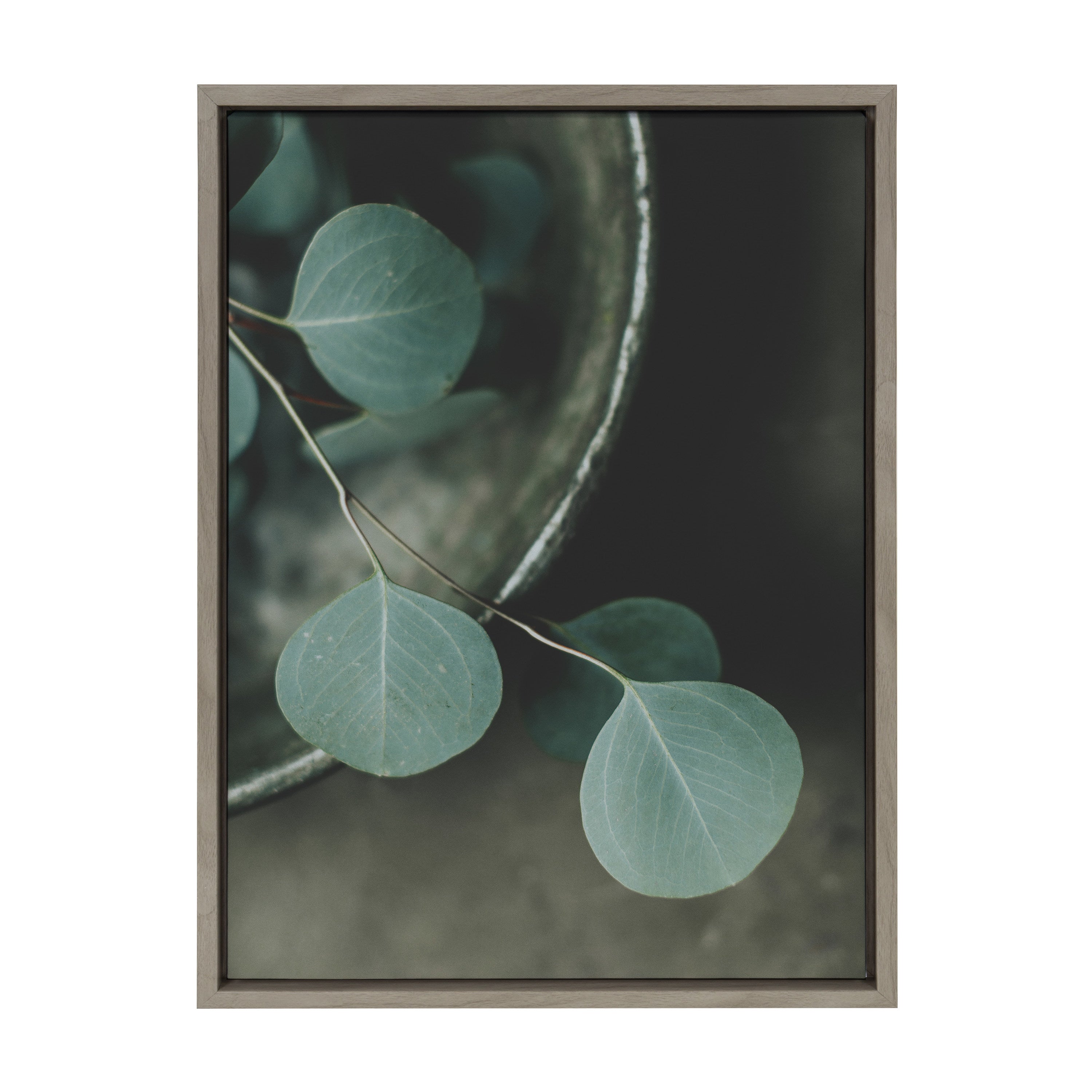 Sylvie Still Life of Eucalyptus Framed Canvas by Alicia Abla