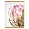 Sylvie Pink Protea Flower Framed Canvas by Amy Peterson