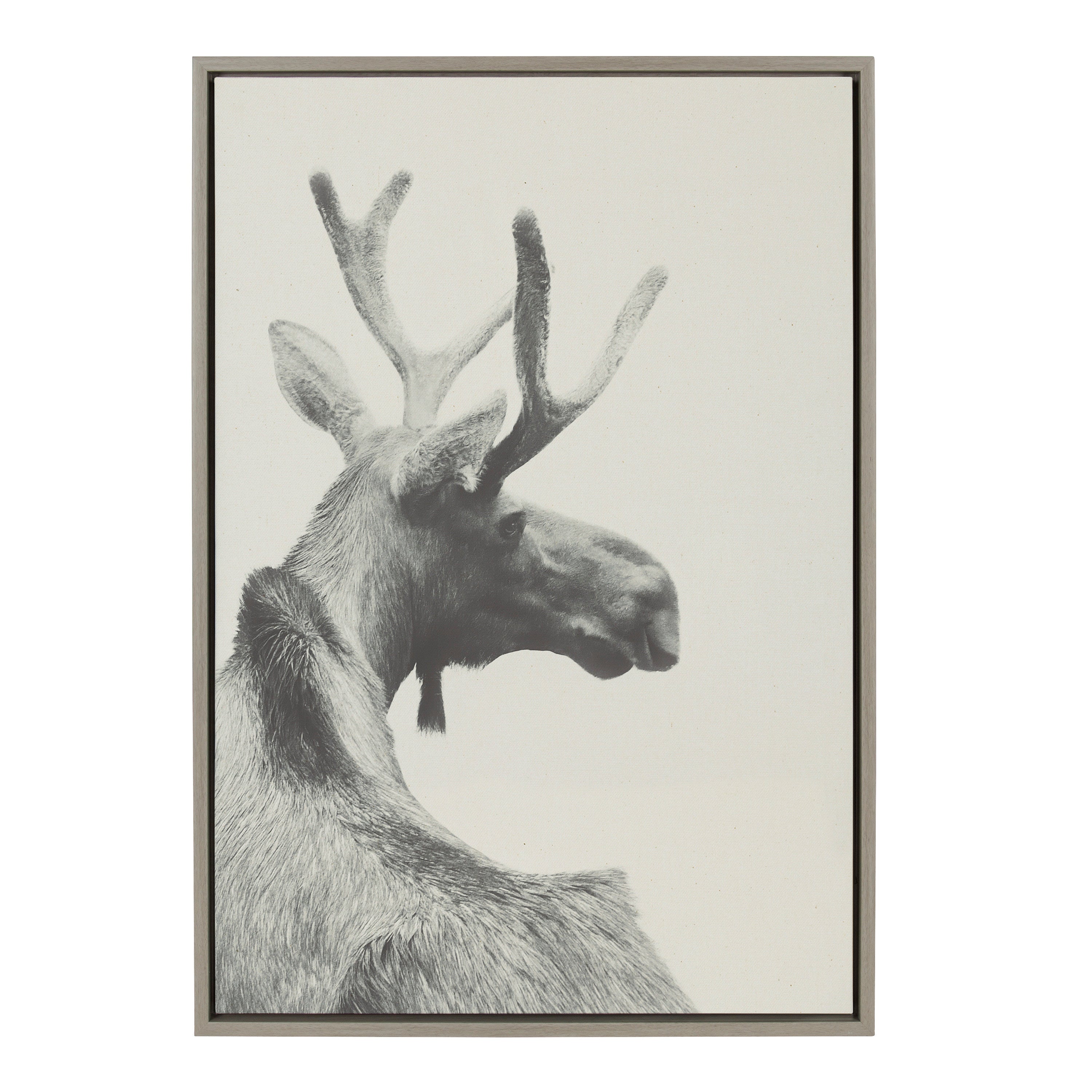 Sylvie Moose BW Framed Canvas by Emiko and Mark Franzen of F2Images