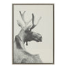 Sylvie Moose BW Framed Canvas by Emiko and Mark Franzen of F2Images