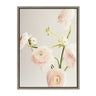 Sylvie Ranunculus Framed Canvas by Caroline Mint