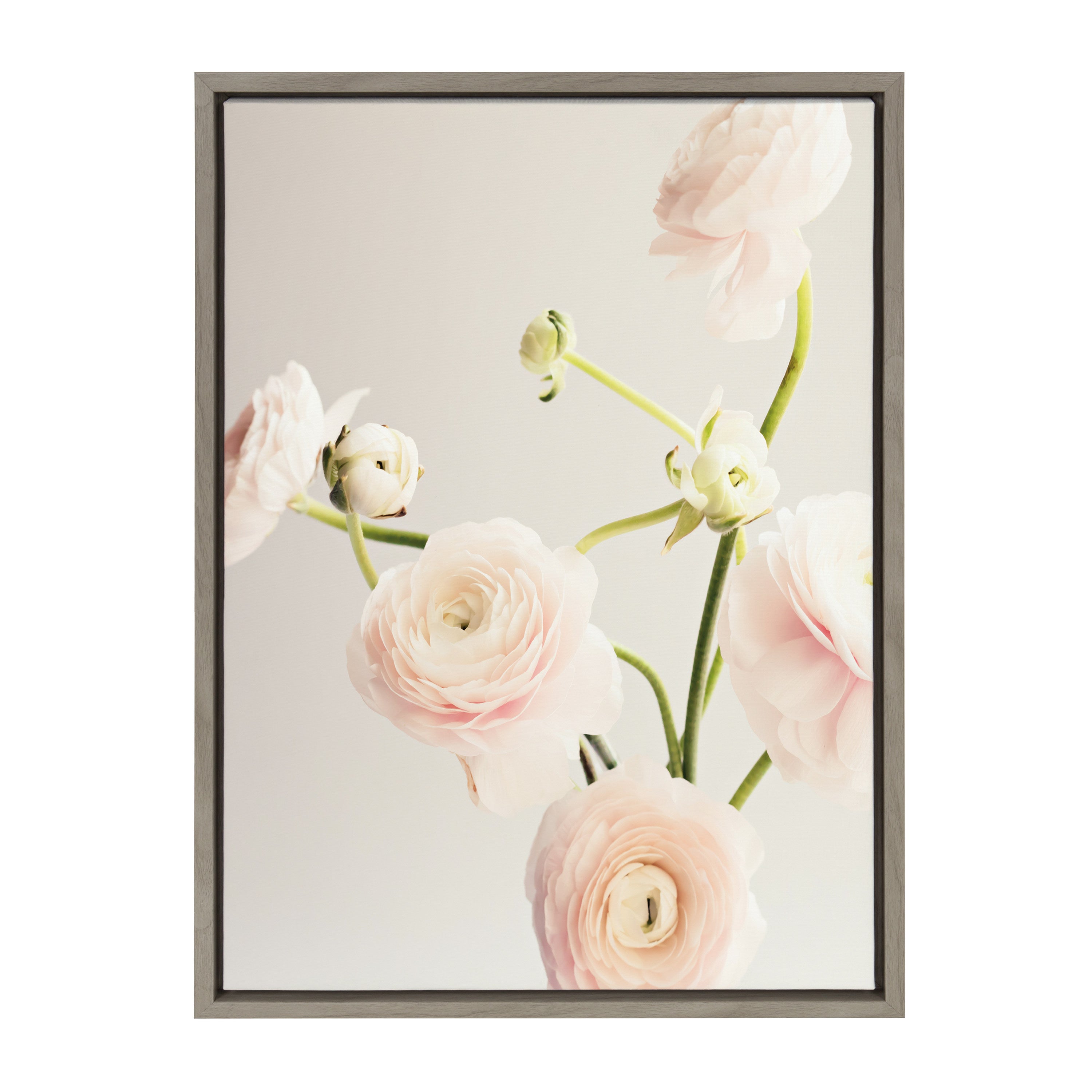 Sylvie Ranunculus Framed Canvas by Caroline Mint