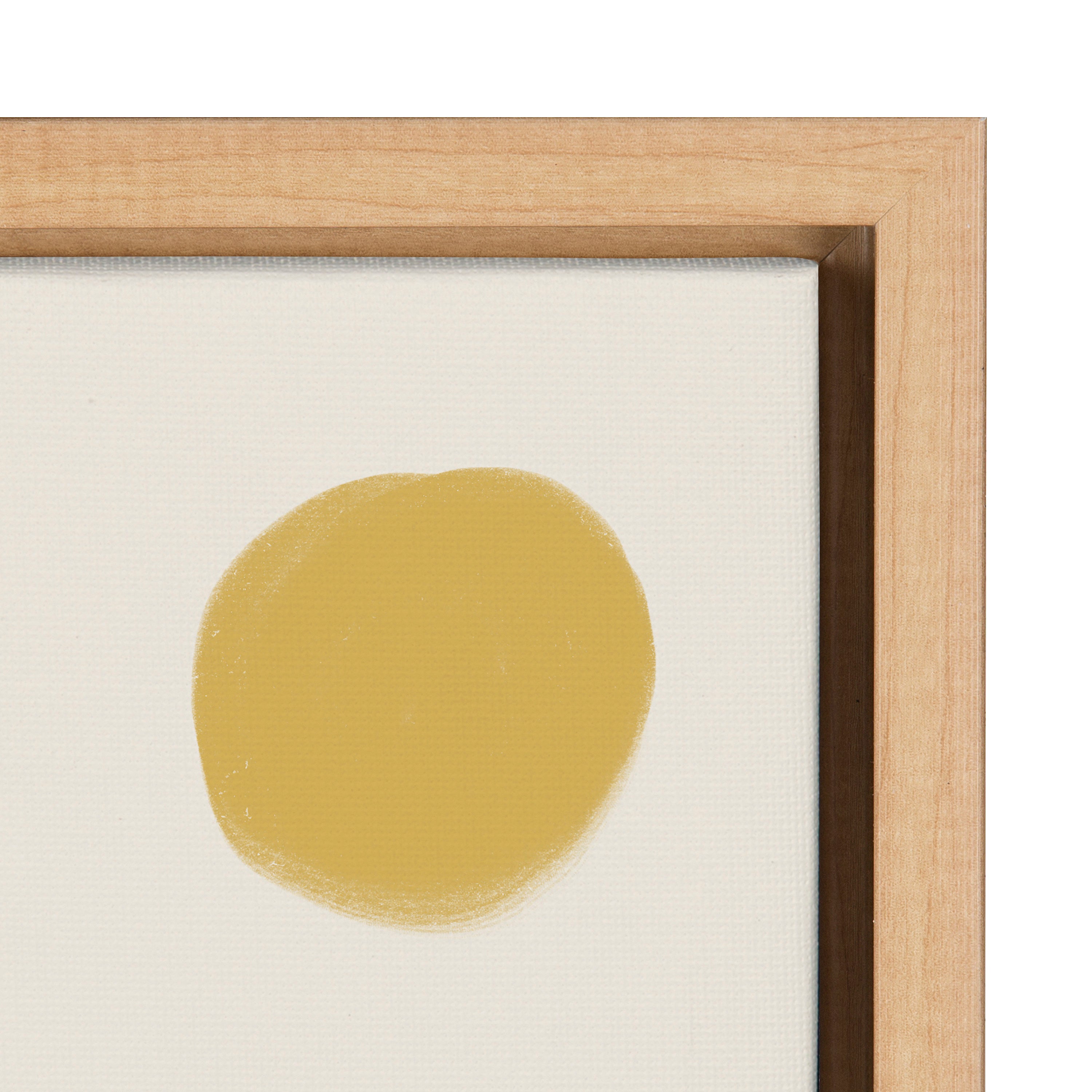 Sylvie Zen Garden 2 Framed Canvas by Kelly Knaga
