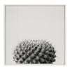 Sylvie Haze Succulent Cactus Short Framed Canvas by The Creative Bunch Studio