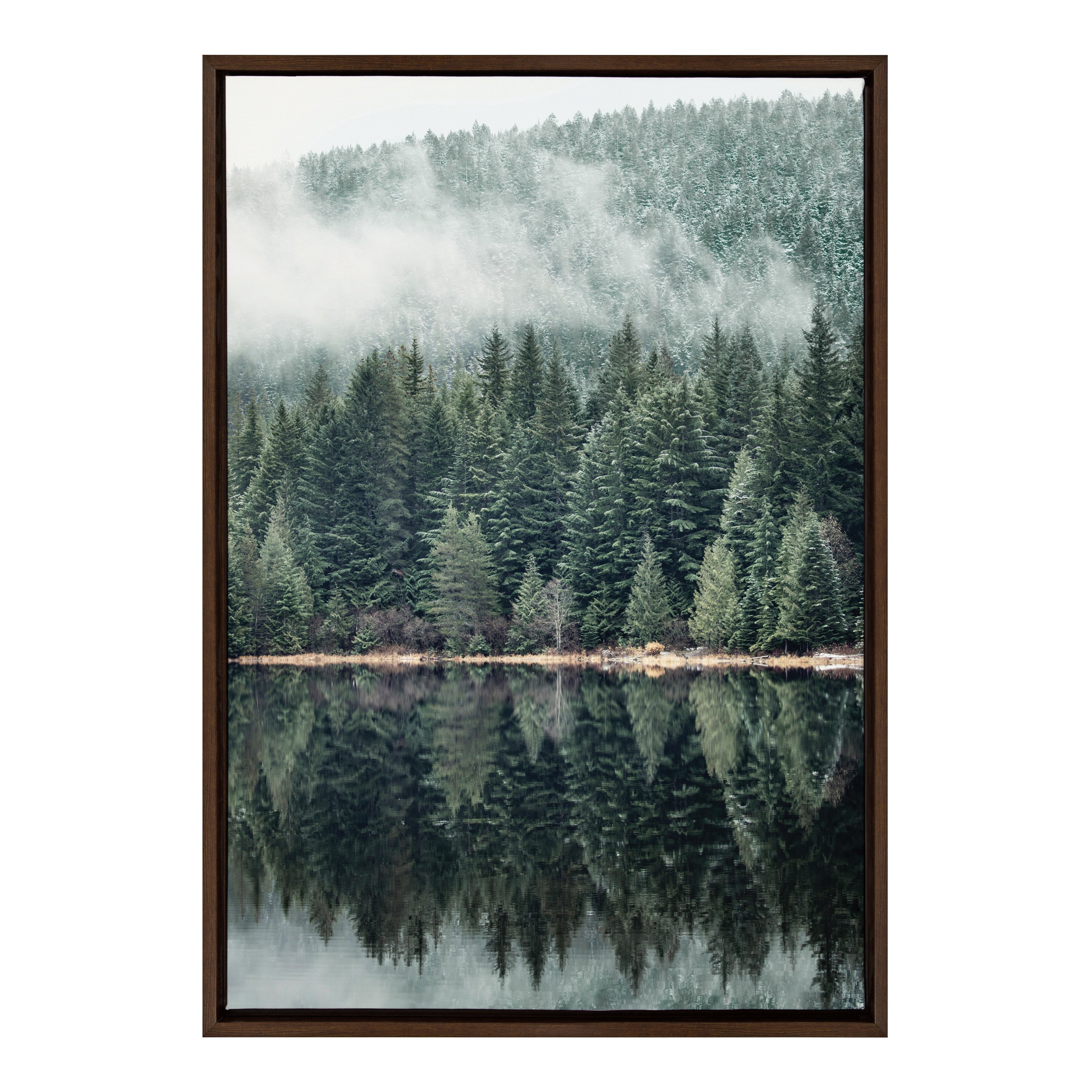 Sylvie Evergreen Reflections Framed Canvas by Emiko and Mark Franzen of F2Images