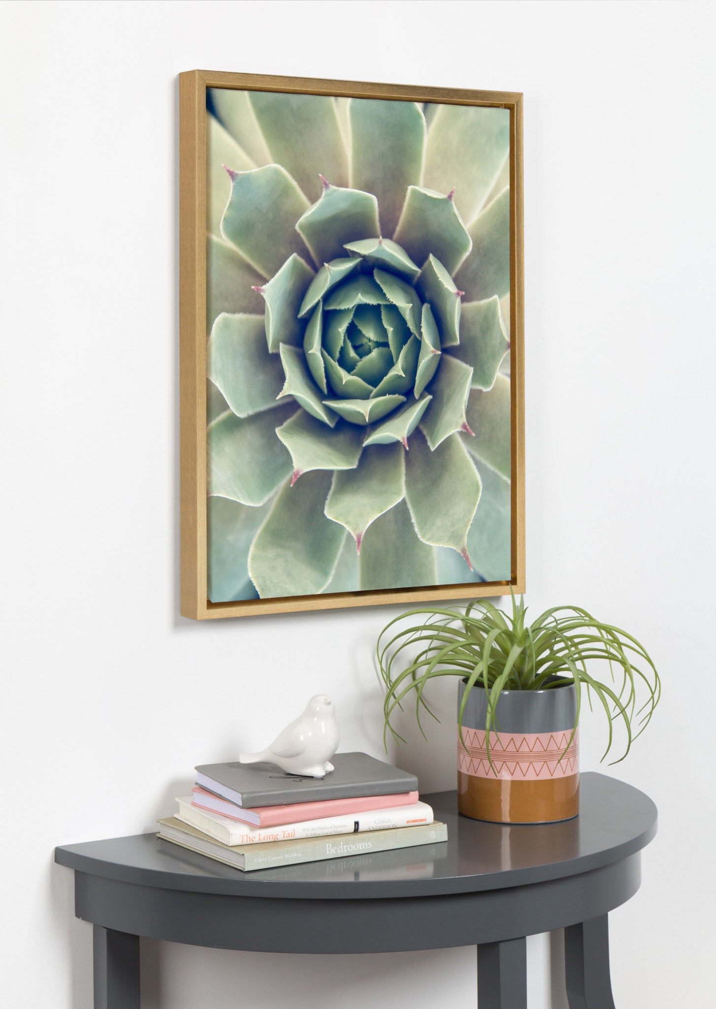 Sylvie Succulent 1 Framed Canvas by F2 Images