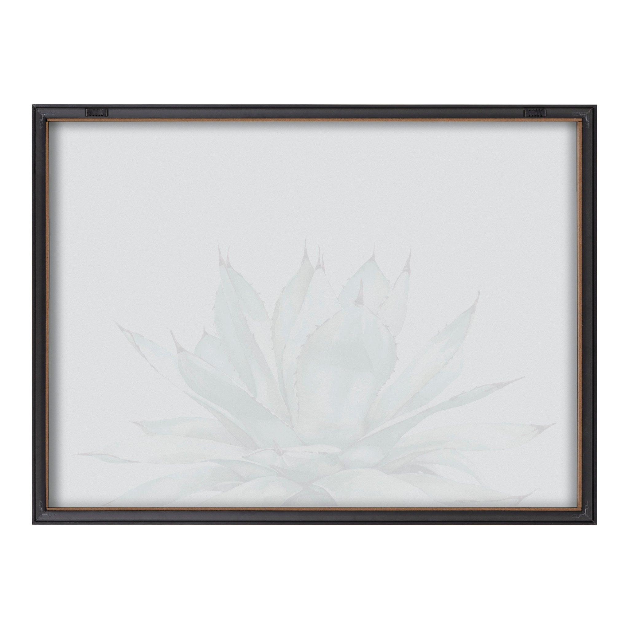 Blake Parrys Agave Framed Printed Glass by Emily Marie Watercolors