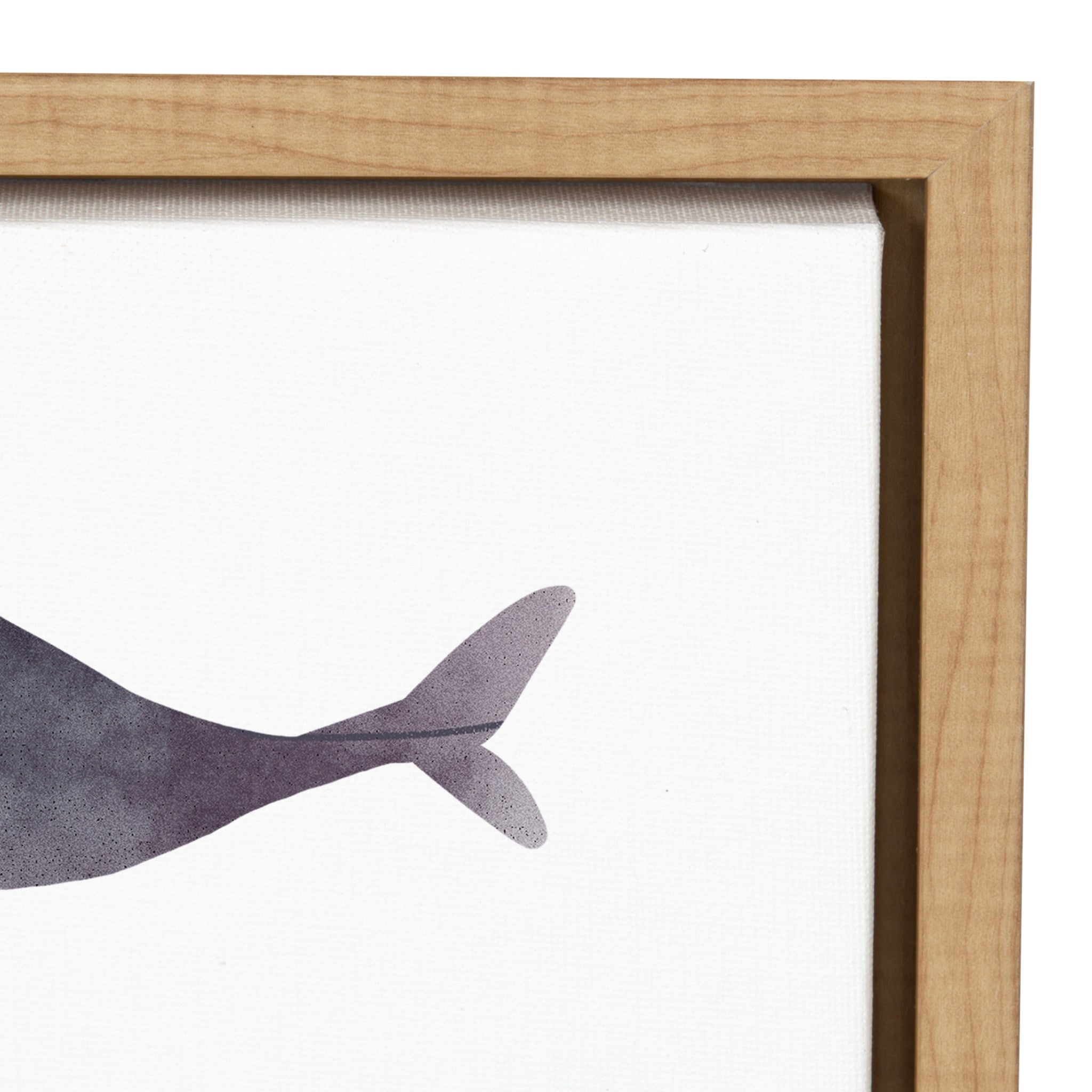 Framed Canvas, Coastal, Natural
