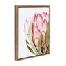 Sylvie Pink Protea Flower Framed Canvas by Amy Peterson