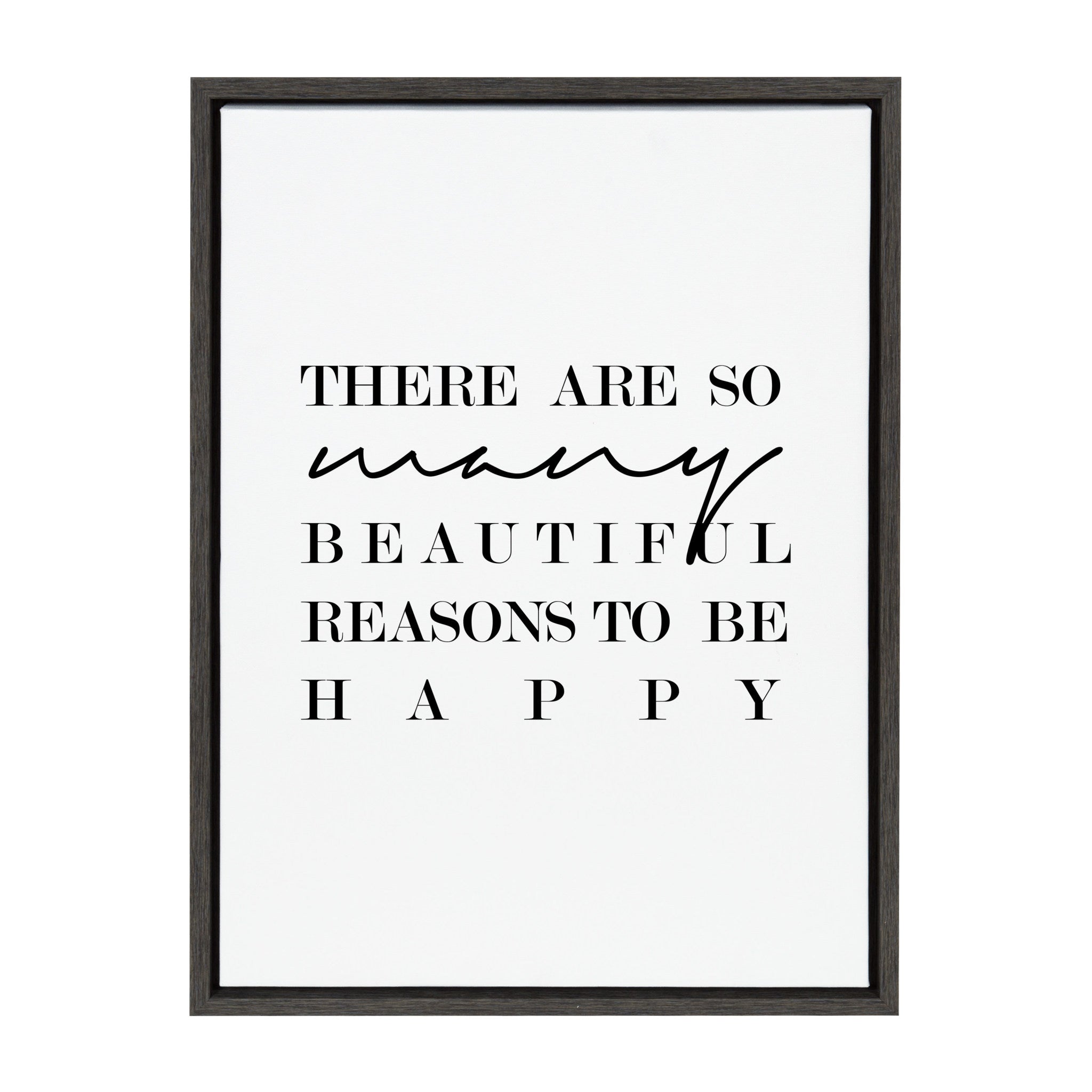 Sylvie So Many Reasons To Be Happy Framed Canvas by Maggie Price