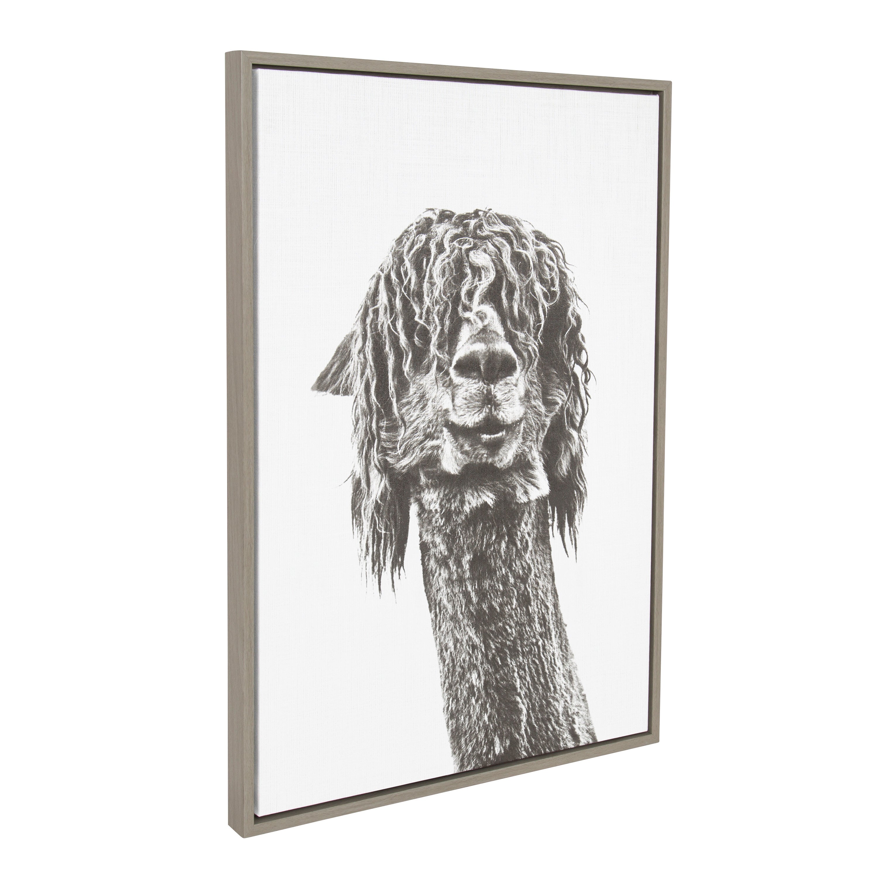 Sylvie Curly Hair Alpaca Framed Canvas by Simon Te Tai