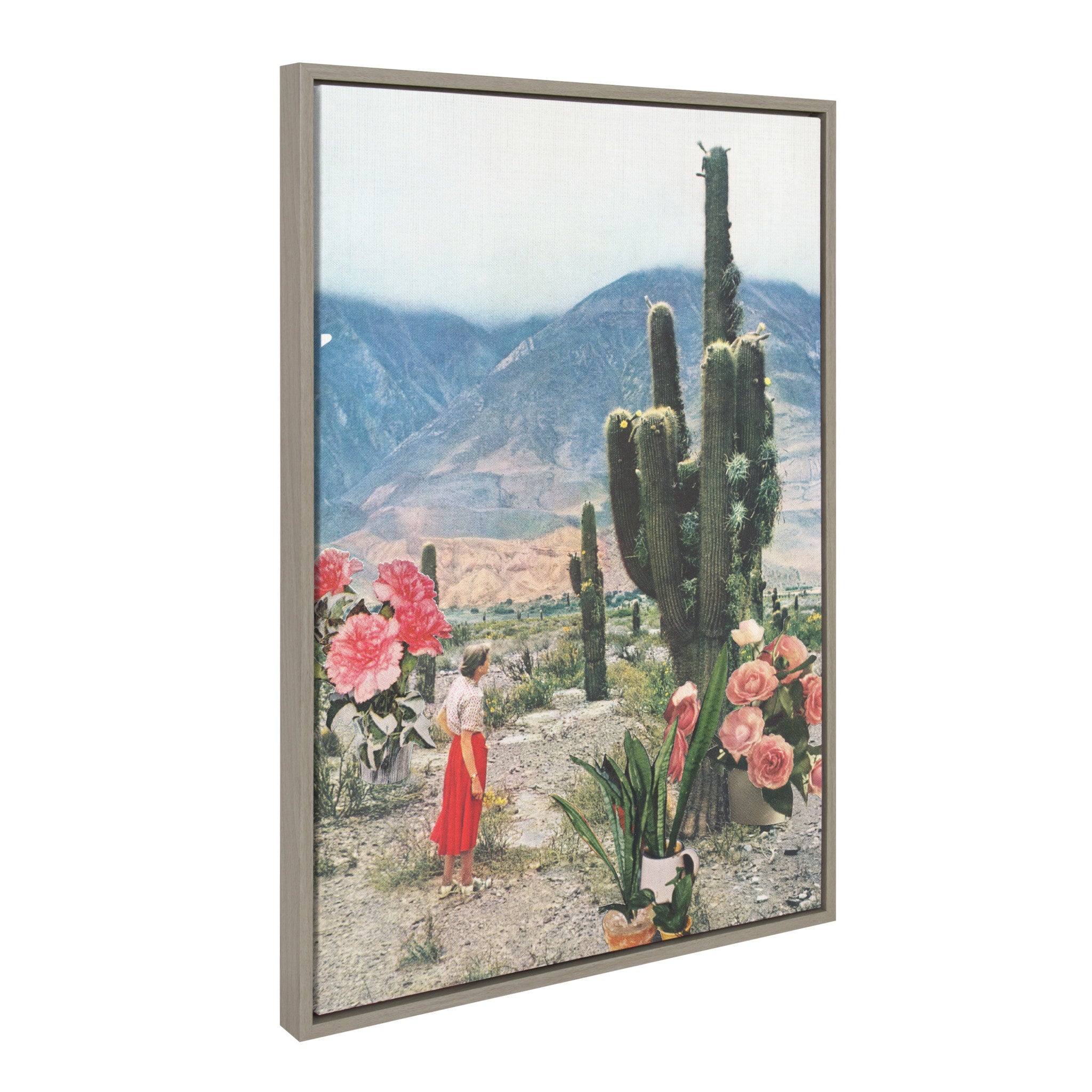 Sylvie Décor Framed Canvas by Sarah Eisenlohr