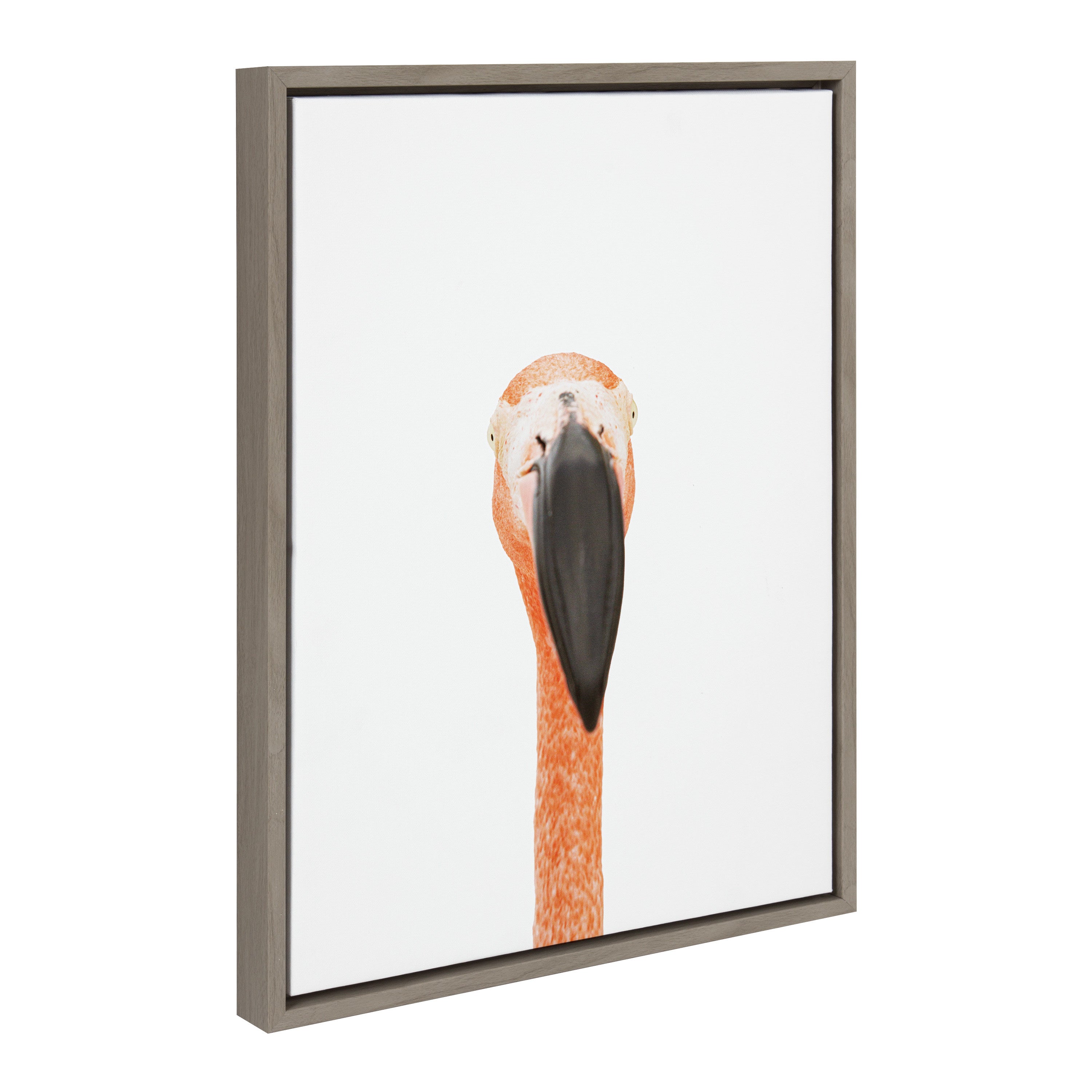 Sylvie Flamingo Portrait Framed Canvas by Amy Peterson Art Studio
