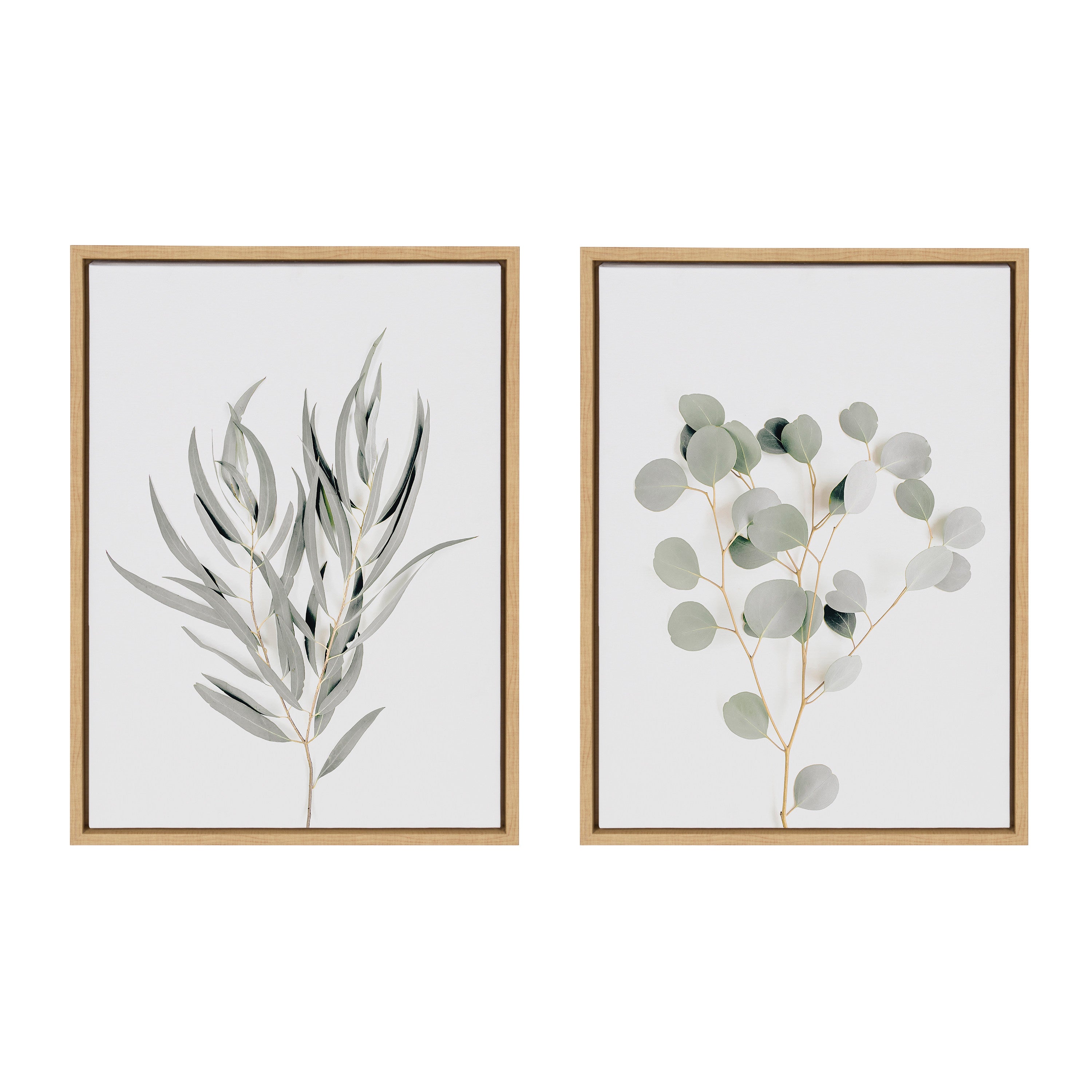 Sylvie Neutral Botanical 1 and 2 Framed Canvas Set by The Creative Bunch Studio
