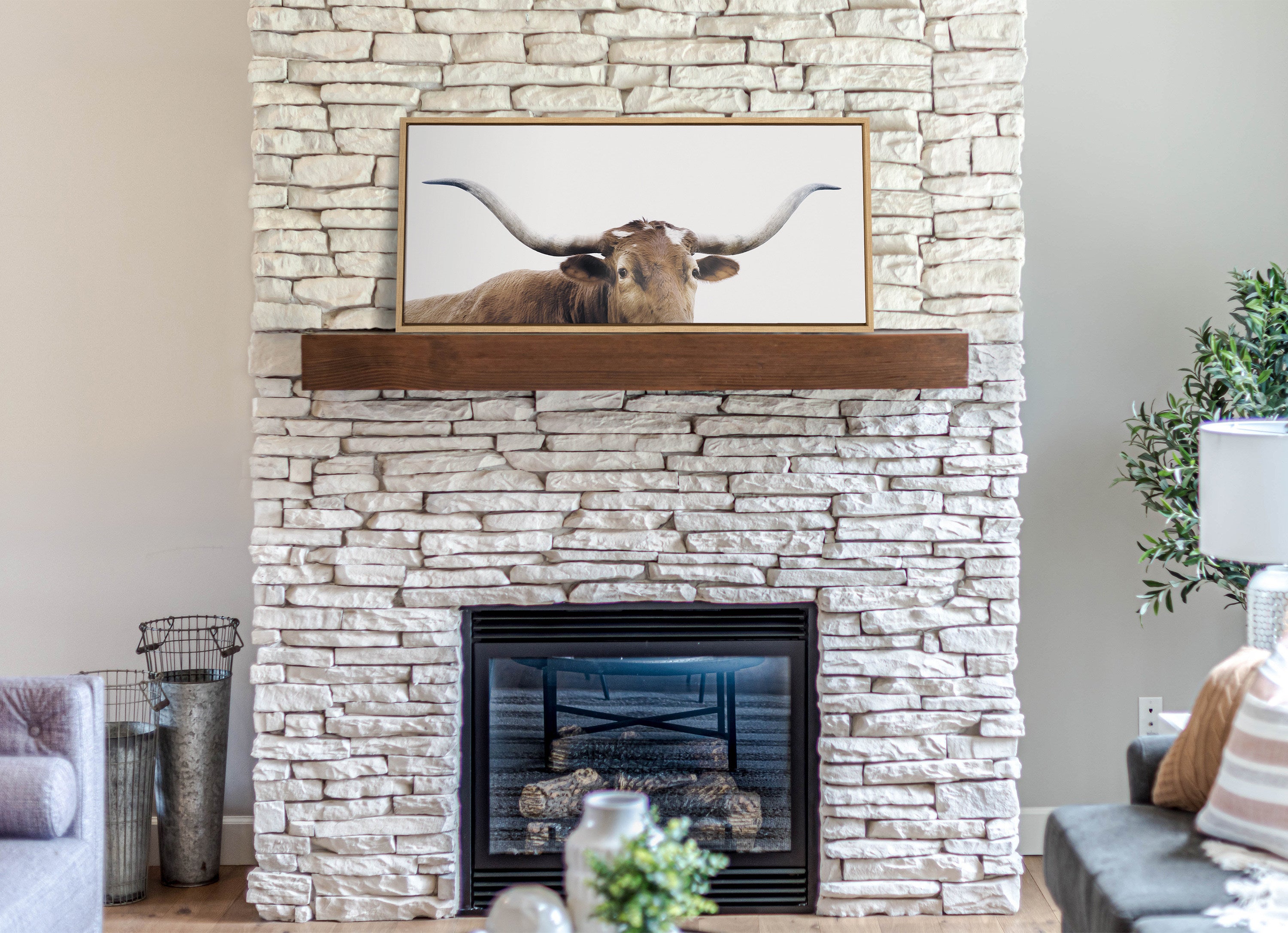 Sylvie Texas Longhorn Framed Canvas by The Creative Bunch Studio