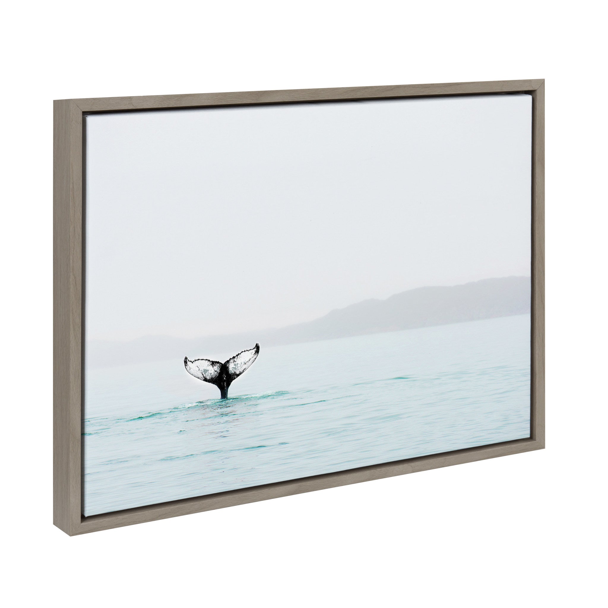 Sylvie Whale Tail In The Mist Framed Canvas by Amy Peterson