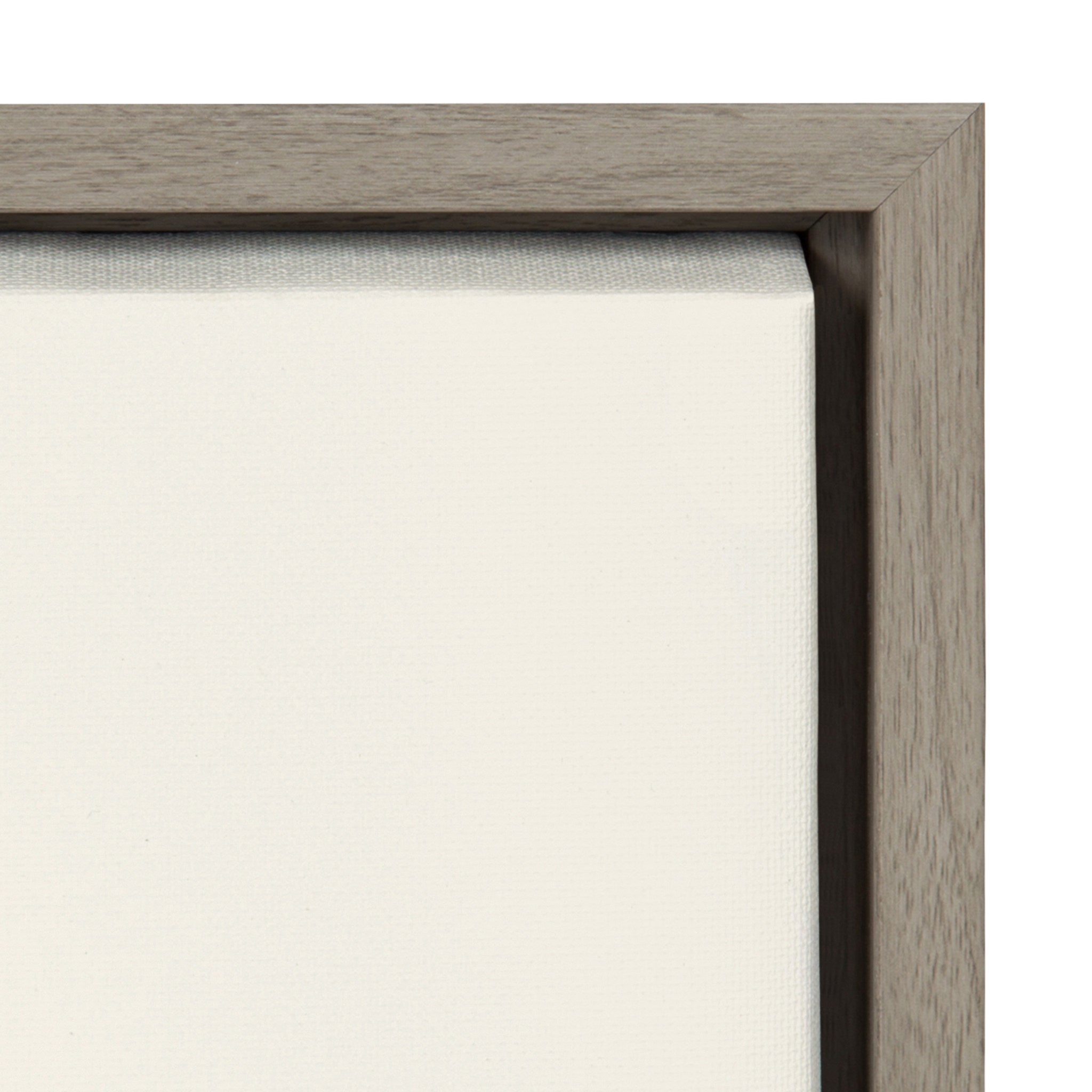 Sylvie Pink Quartz Framed Canvas by Emiko and Mark Franzen of F2Images