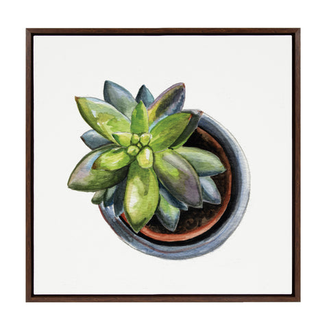 Sylvie Succulent From Above 2 Framed Canvas by Jennifer Redstreake Geary of Redstreake Fine Art