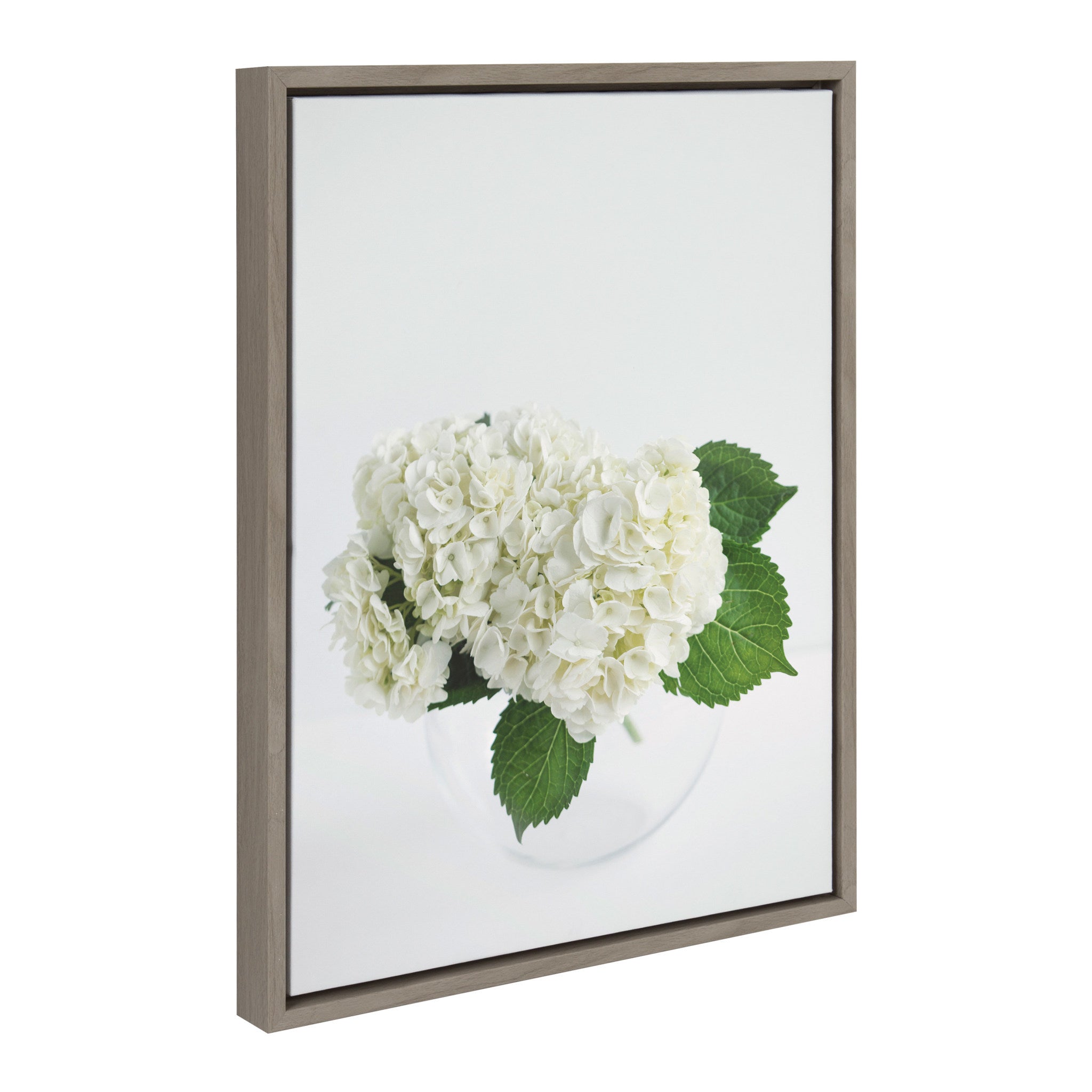 Sylvie Hydrangea Cluster Framed Canvas by Emiko and Mark Franzen of F2Images