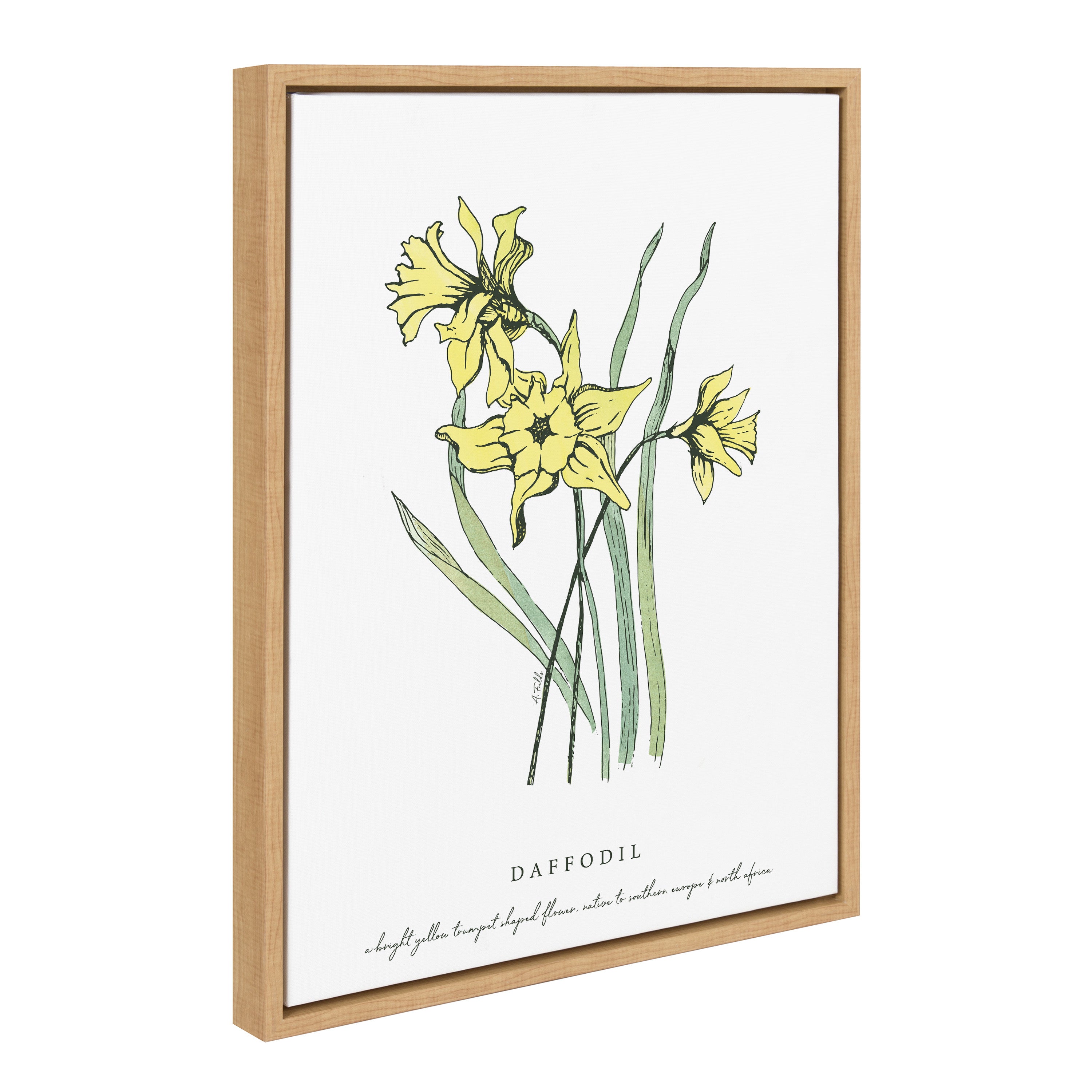 Sylvie Spring Daffodil Framed Canvas by Statement Goods