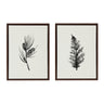 Sylvie Vintage Botanical 3 and 4 Framed Canvas Set by Teju Reval of SnazzyHues