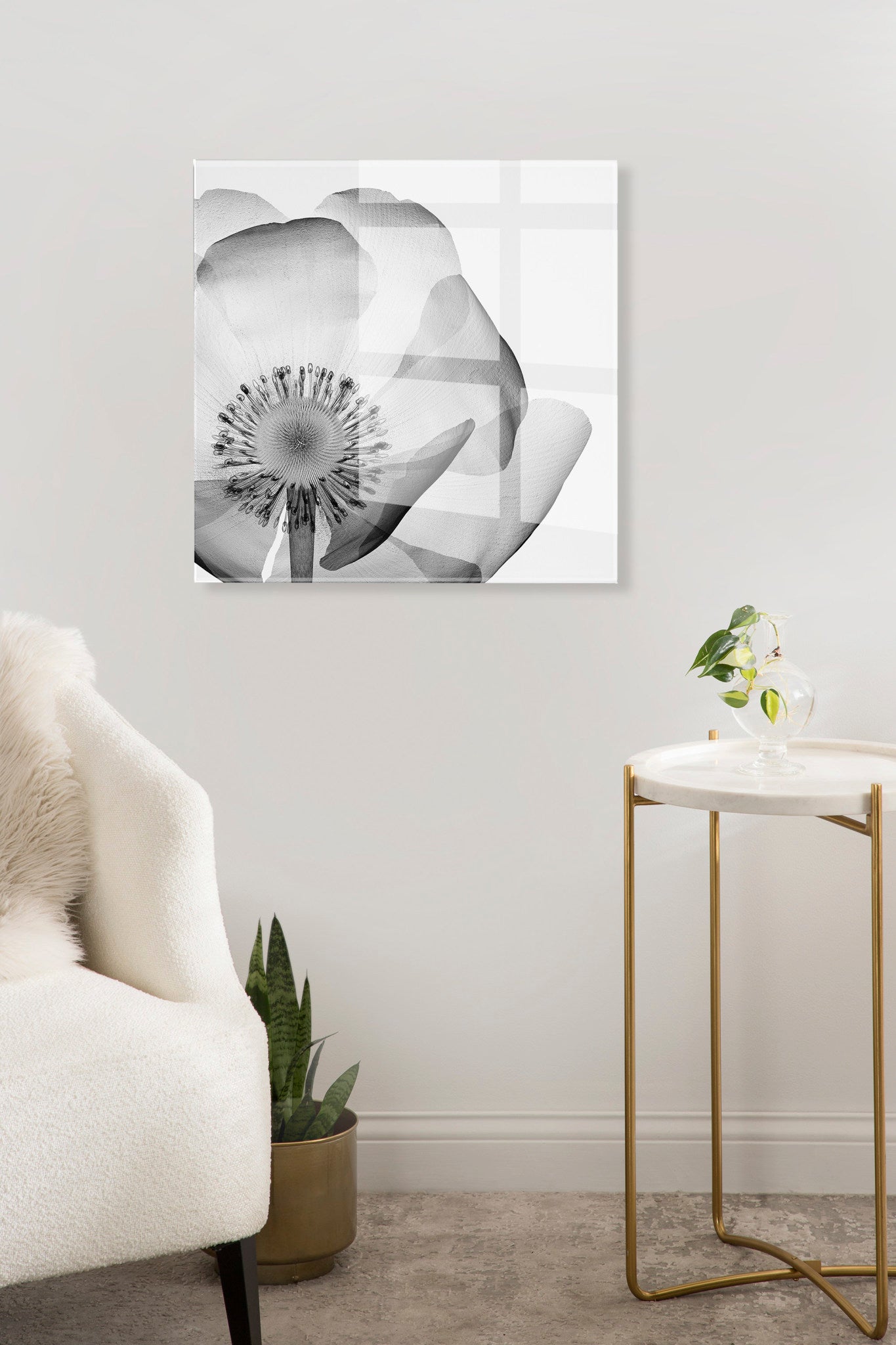 Poppy X Ray Floral Floating Acrylic Art by The Creative Bunch Studio