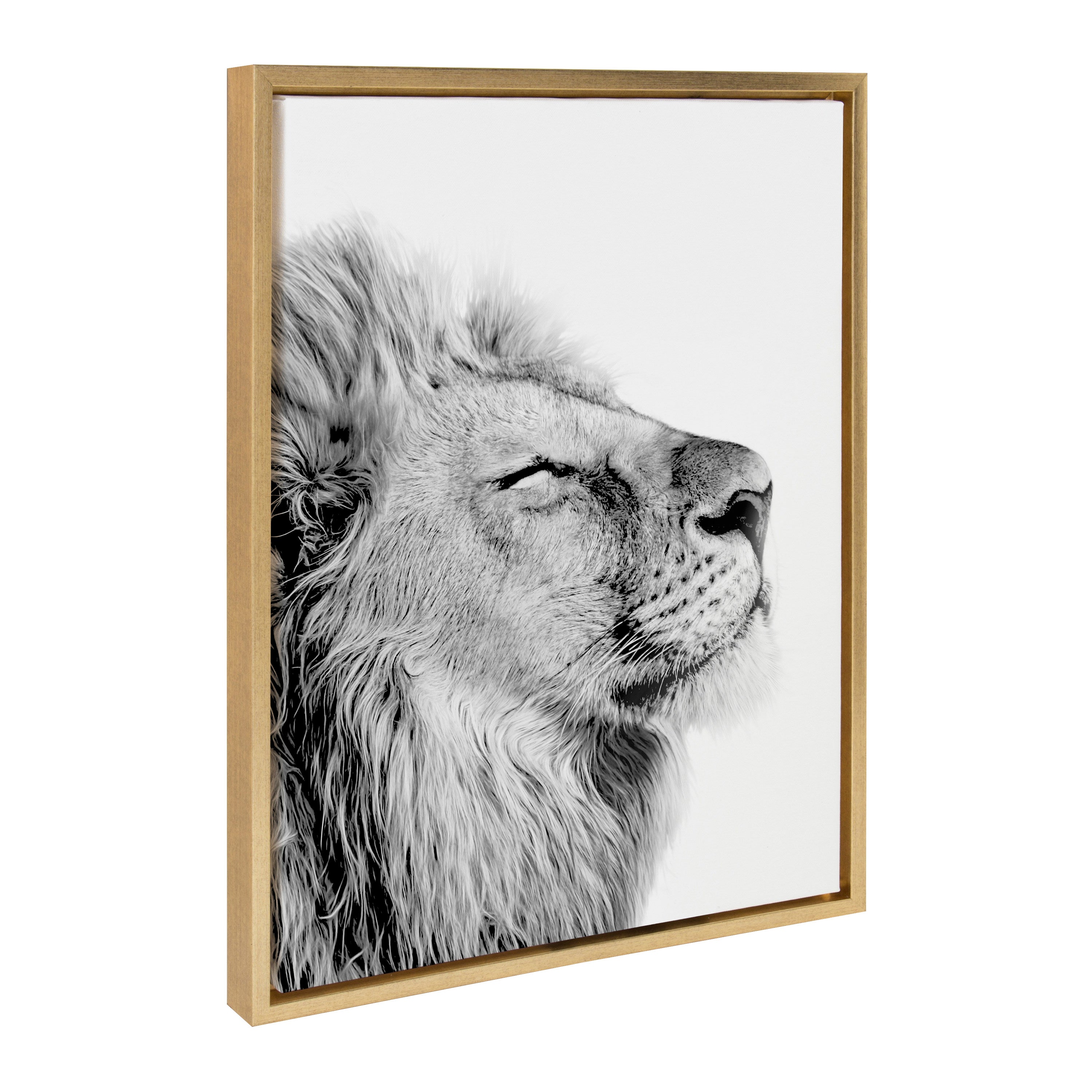 Sylvie Lion Self Actualizing Framed Canvas by Amy Peterson Art Studio