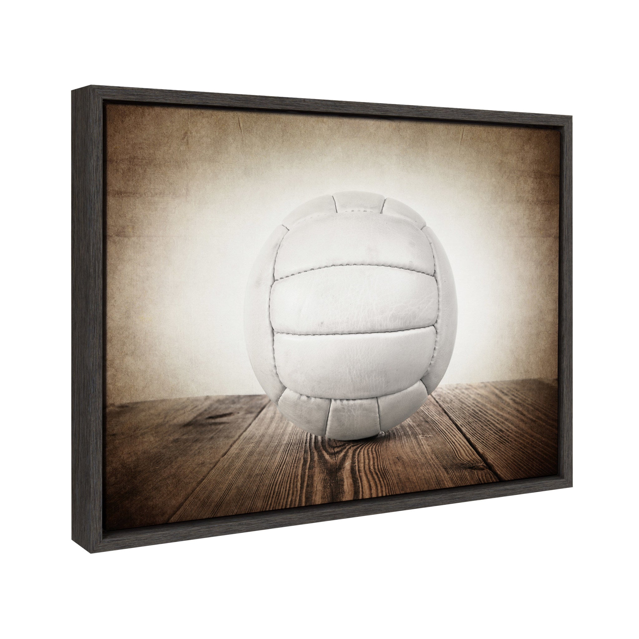 Sylvie Vintage Volleyball Framed Canvas by Shawn St. Peter