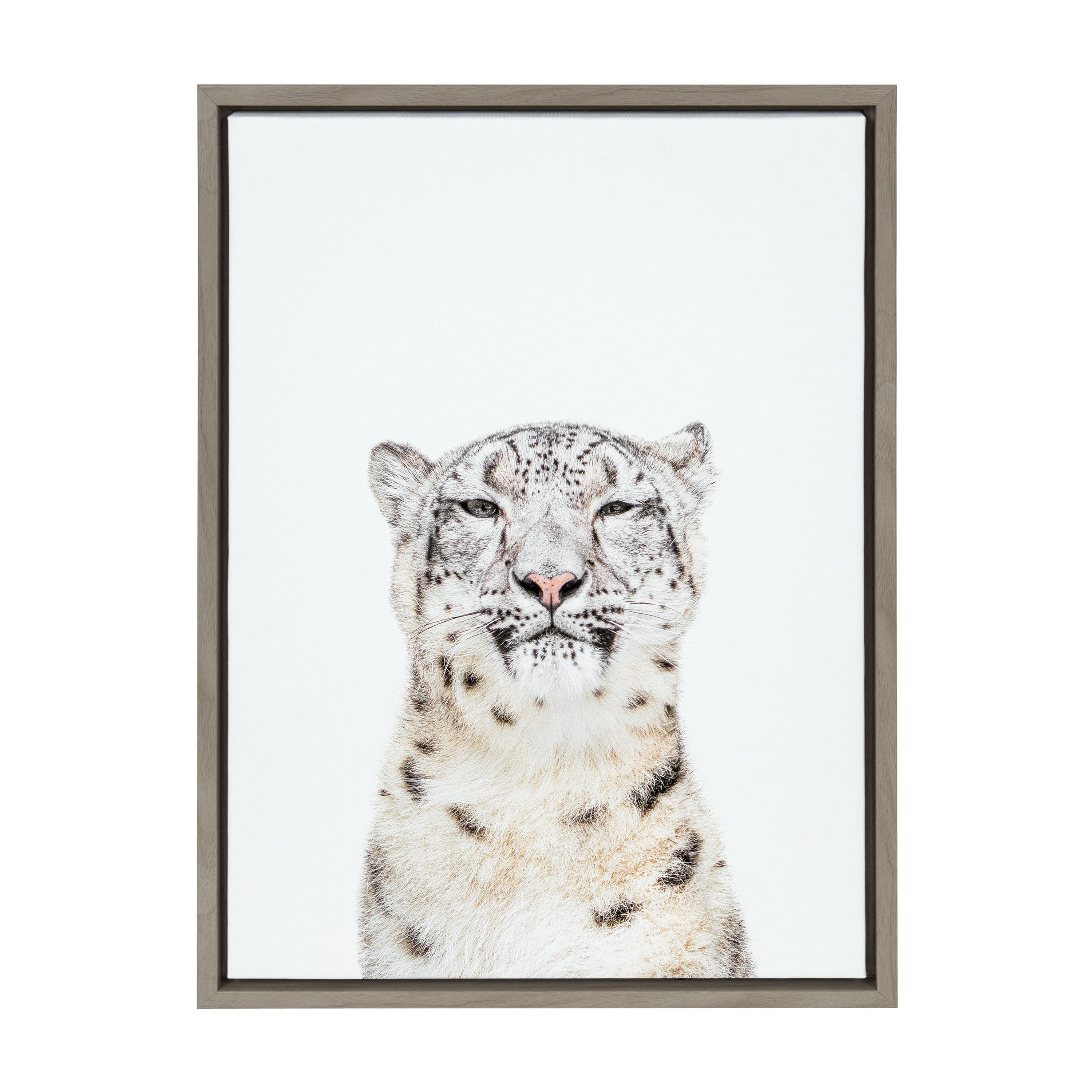 Sylvie Snow Leopard Portrait Framed Canvas by Amy Peterson Art Studio