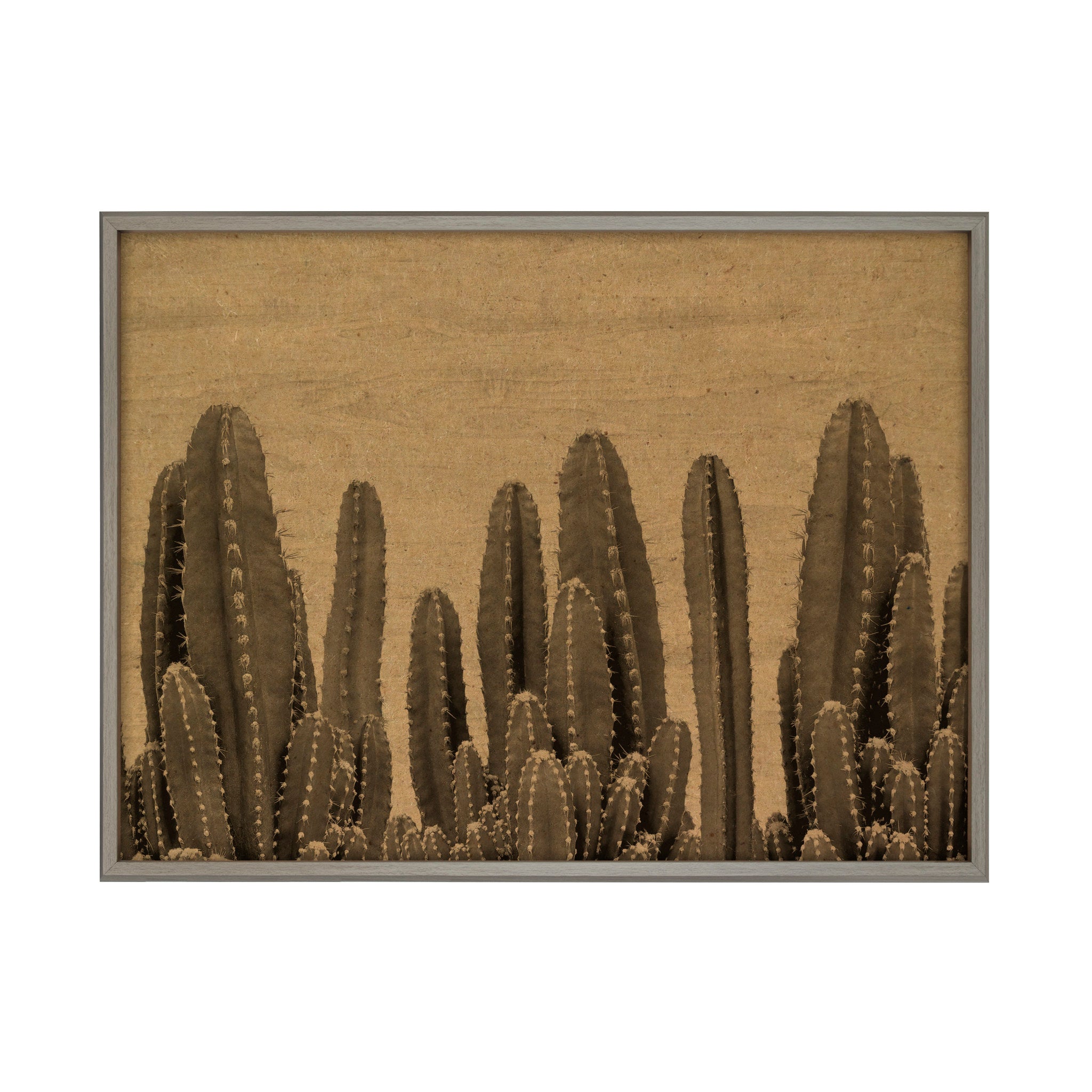 Blake Looking Sharp Cactus Framed Printed Wood by The Creative Bunch Studio