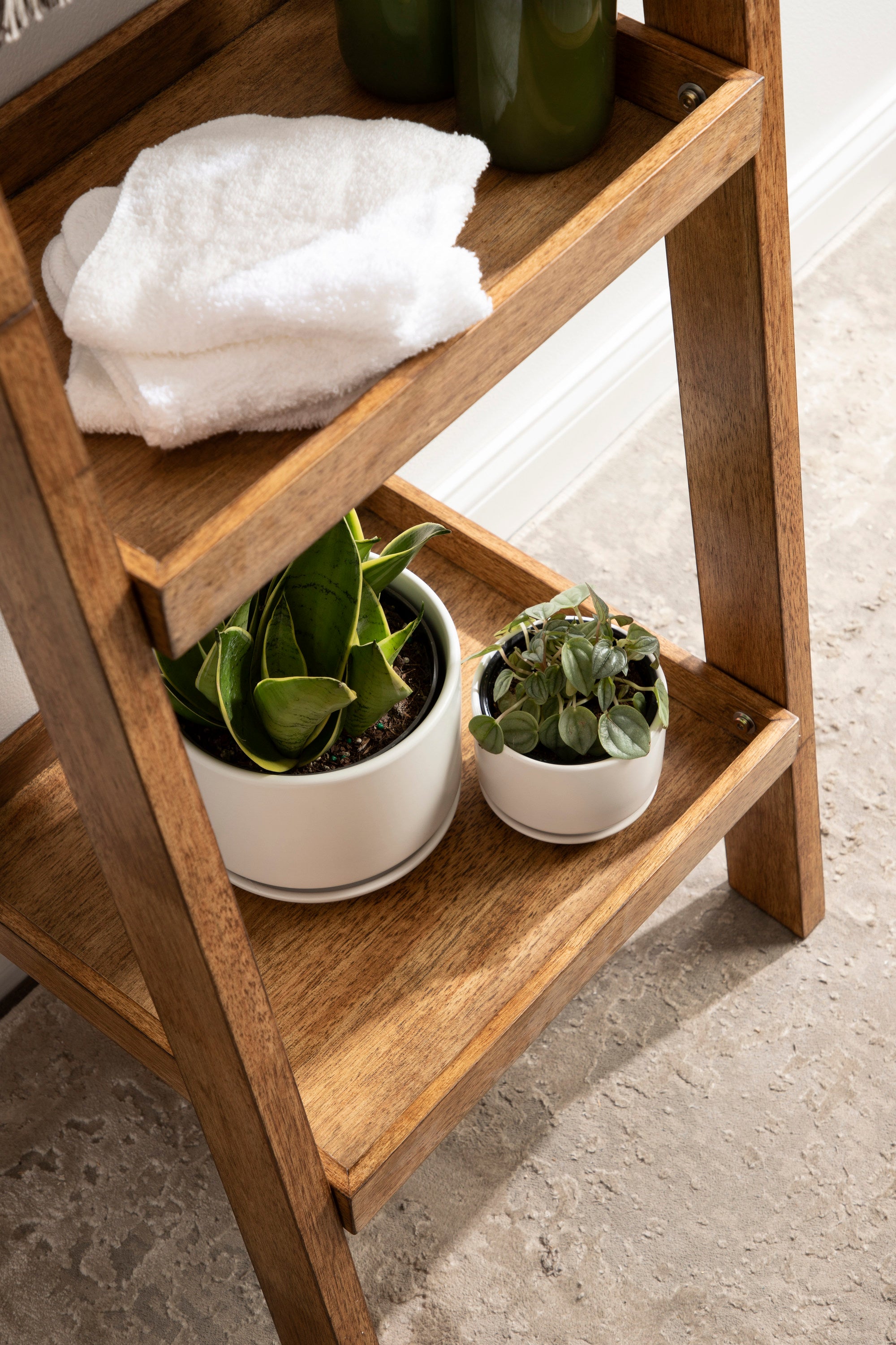 Lowry Wood Ladder Shelf