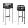 Paynter Plant Stand Set