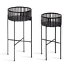 Paynter Plant Stand Set