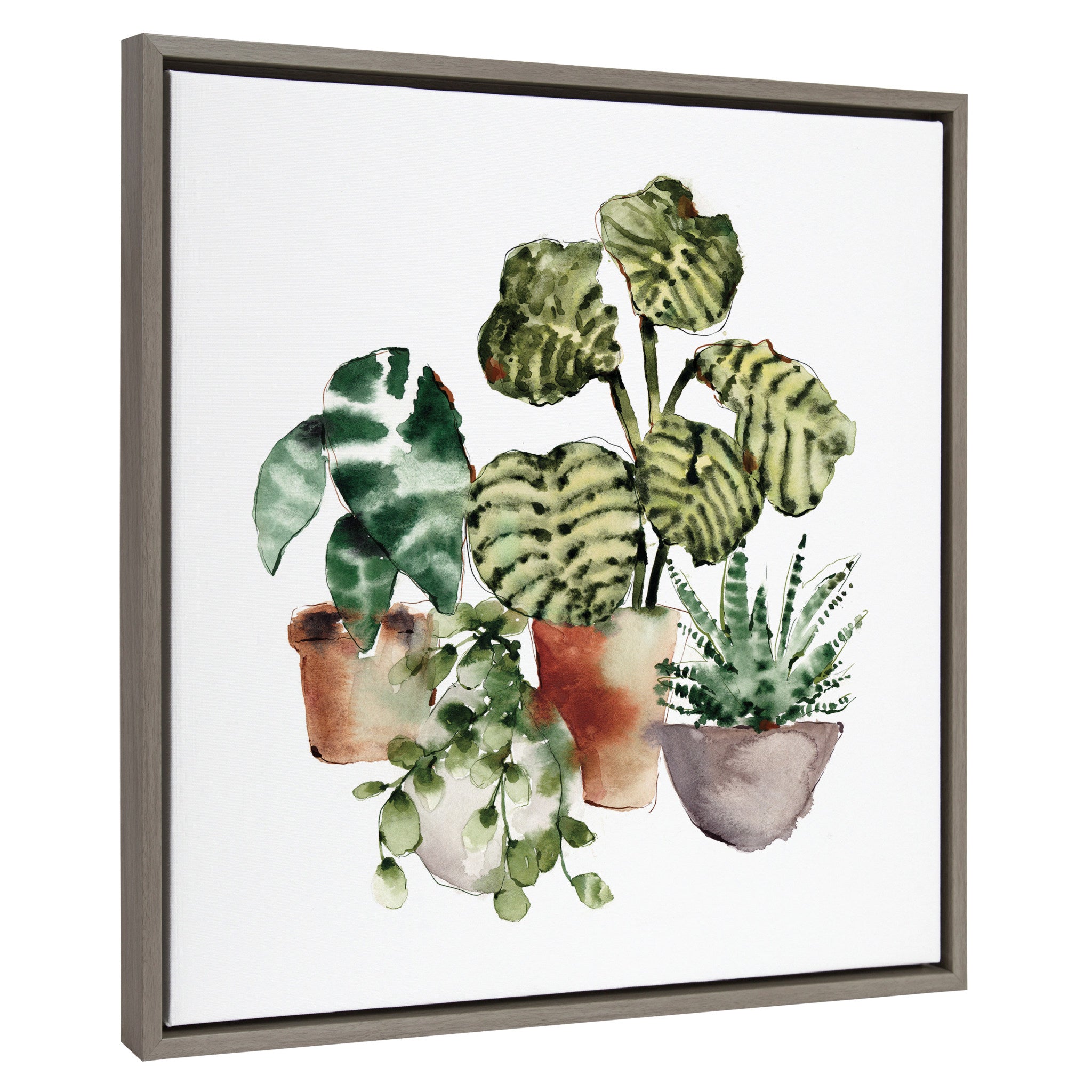 Sylvie Houseplants Framed Canvas by Sara Berrenson