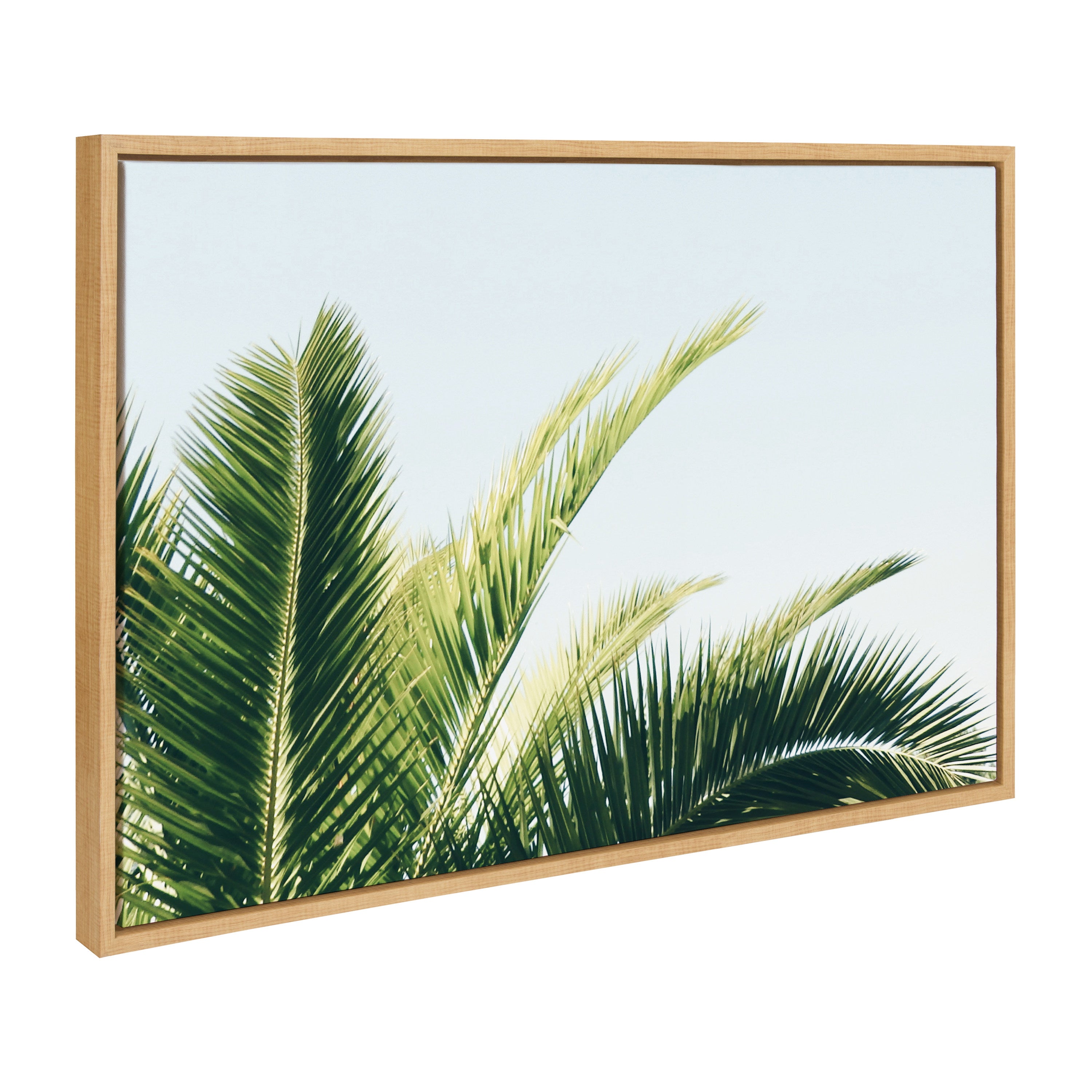 Sylvie Tropical Palm Under Blue Sky Framed Canvas by Amy Peterson Art Studio