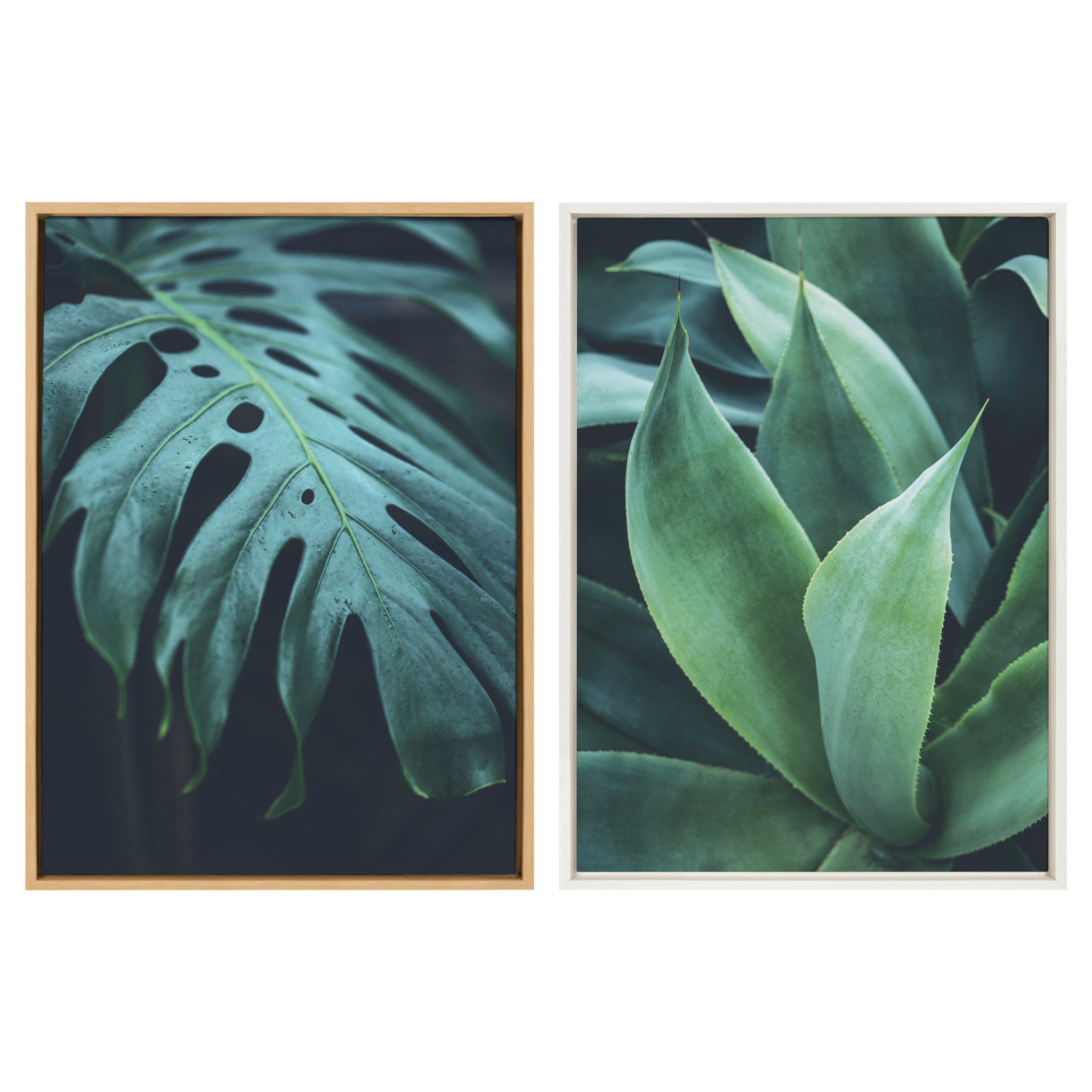 Sylvie Tropical Frond Framed Canvas by F2 Images