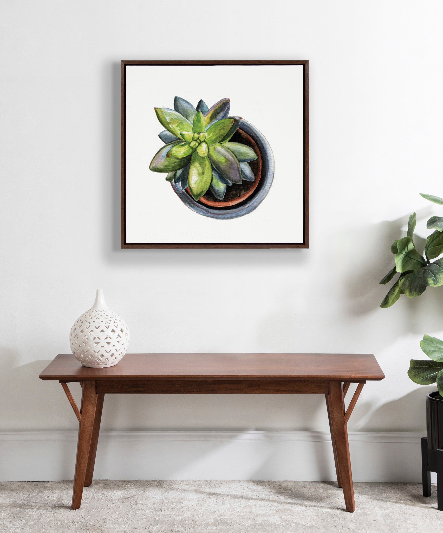 Sylvie Succulent From Above 2 Framed Canvas by Jennifer Redstreake Geary of Redstreake Fine Art